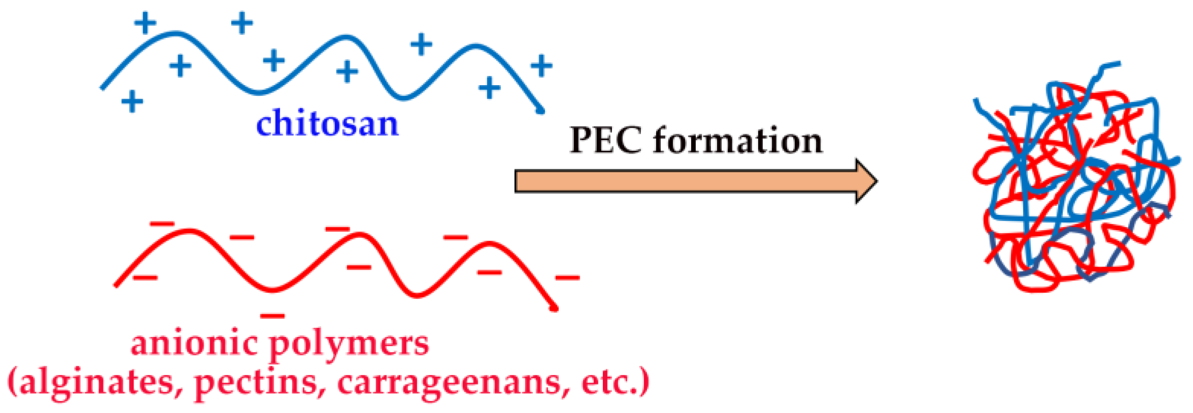Marinedrugs 20 00335 g004 Marinedrugs 20 00335 g004