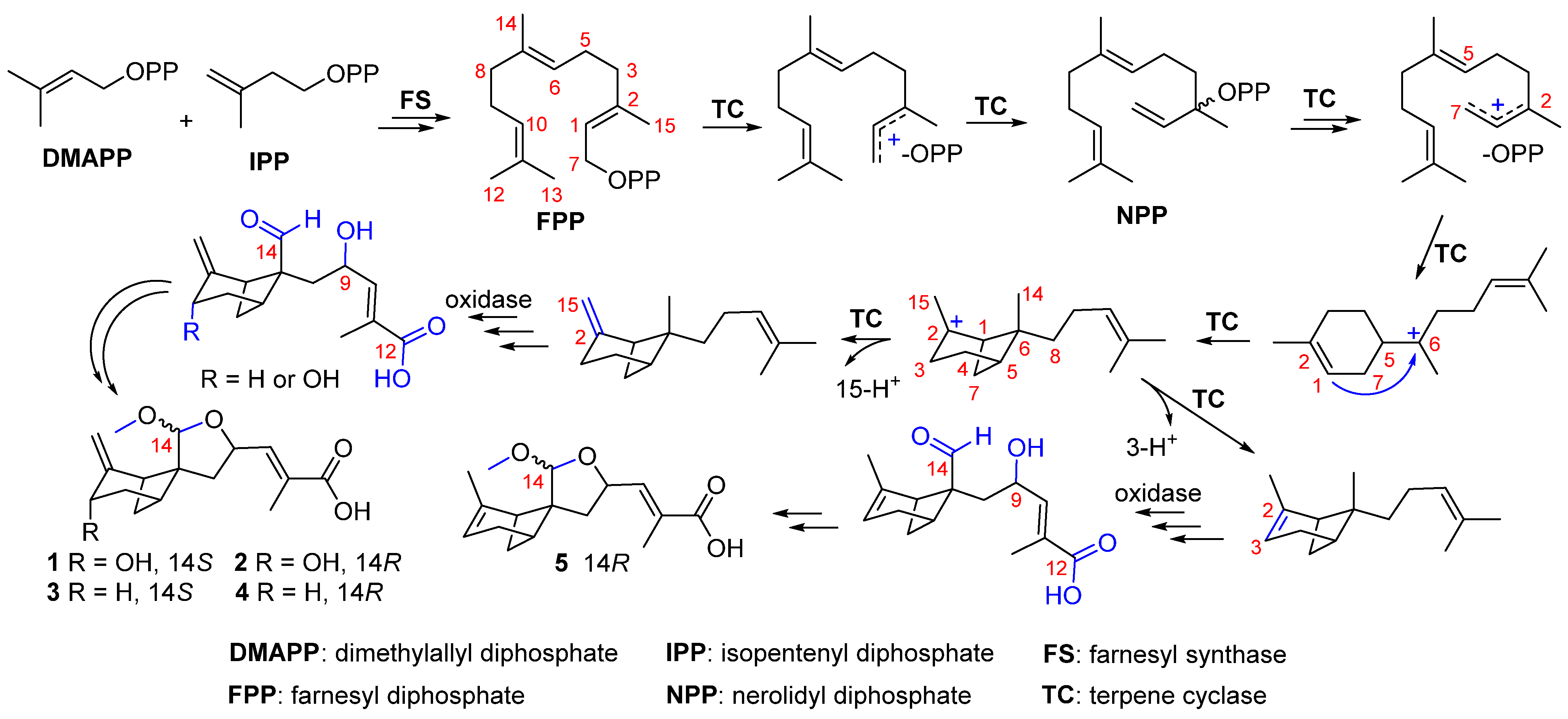 Marinedrugs 20 00338 sch001