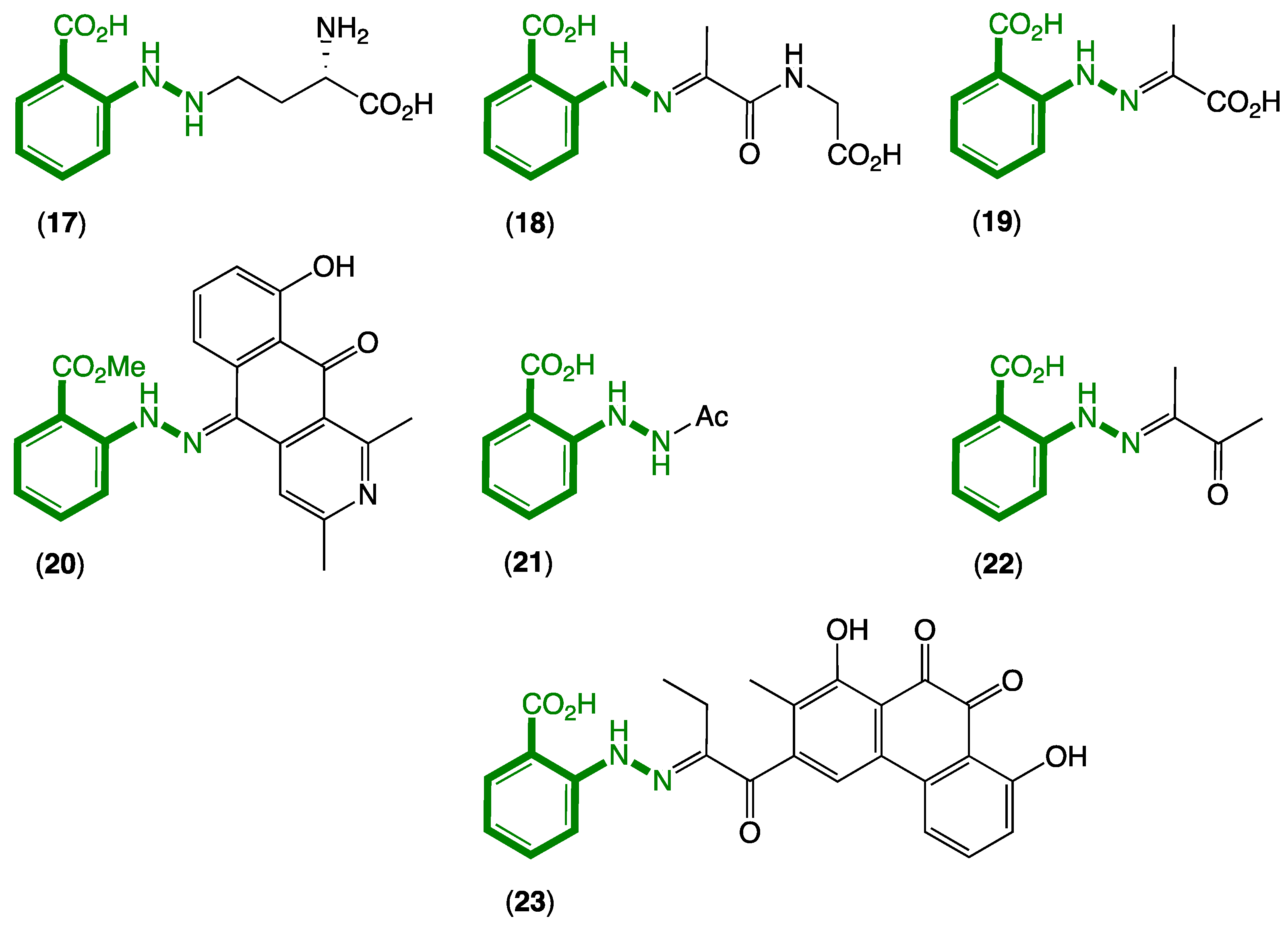 Marinedrugs 20 00339 g004