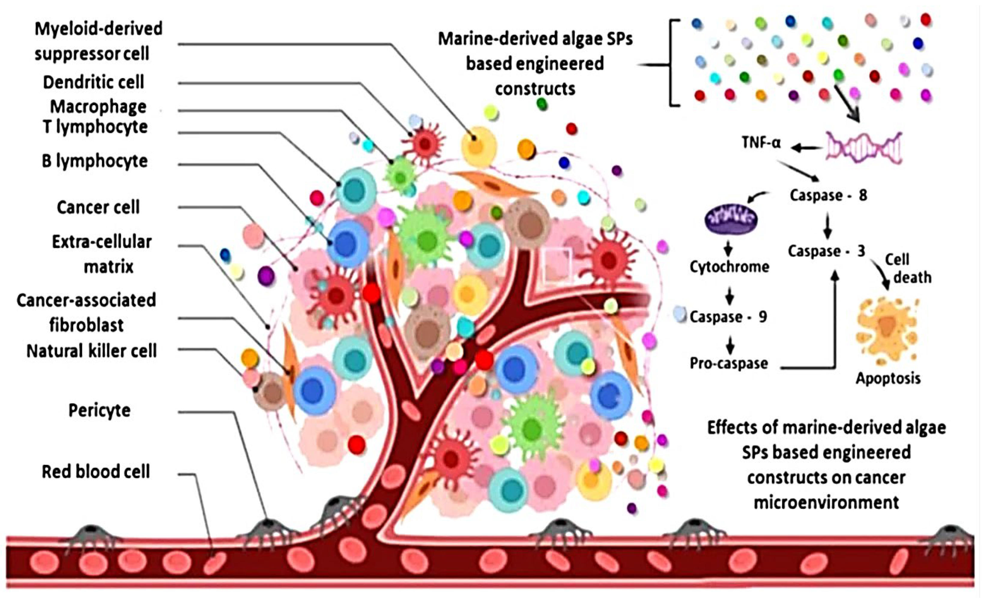 Marinedrugs 20 00342 g009