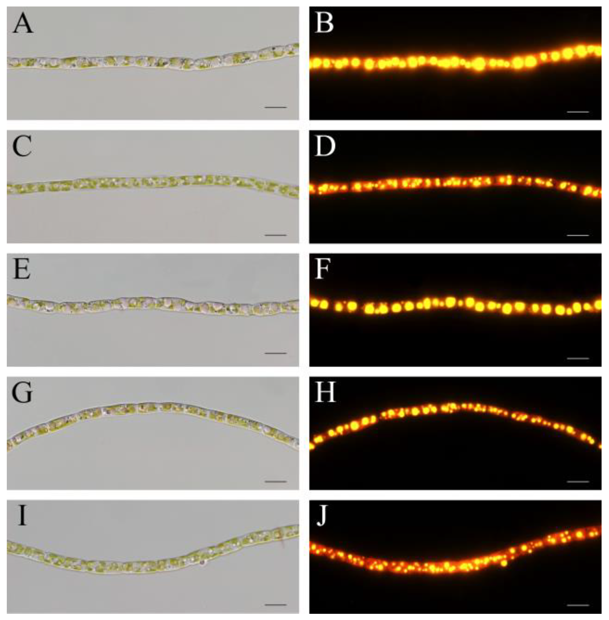 Marinedrugs 20 00343 g002 550