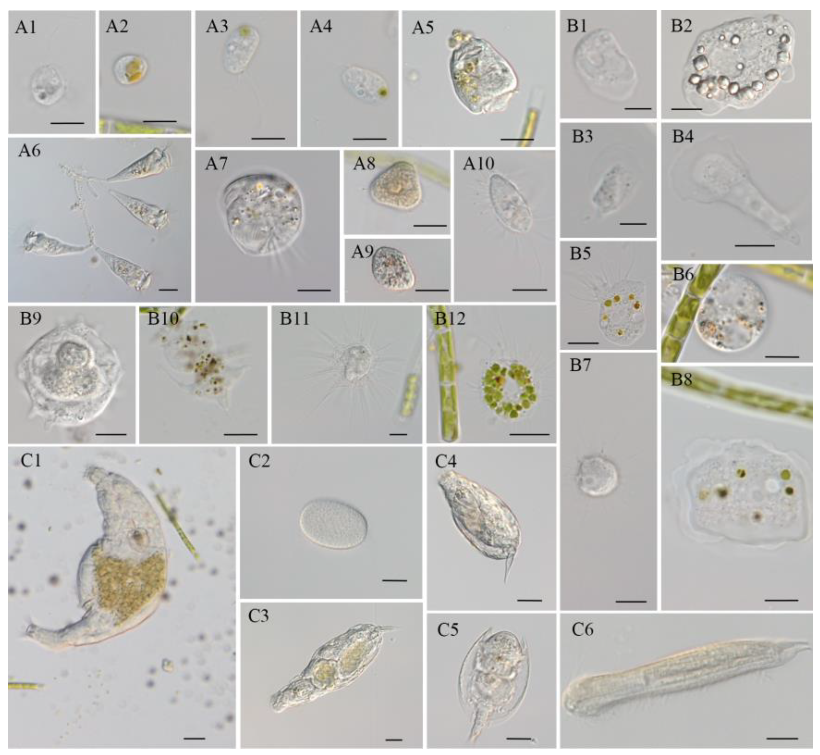 Marinedrugs 20 00343 g007 550