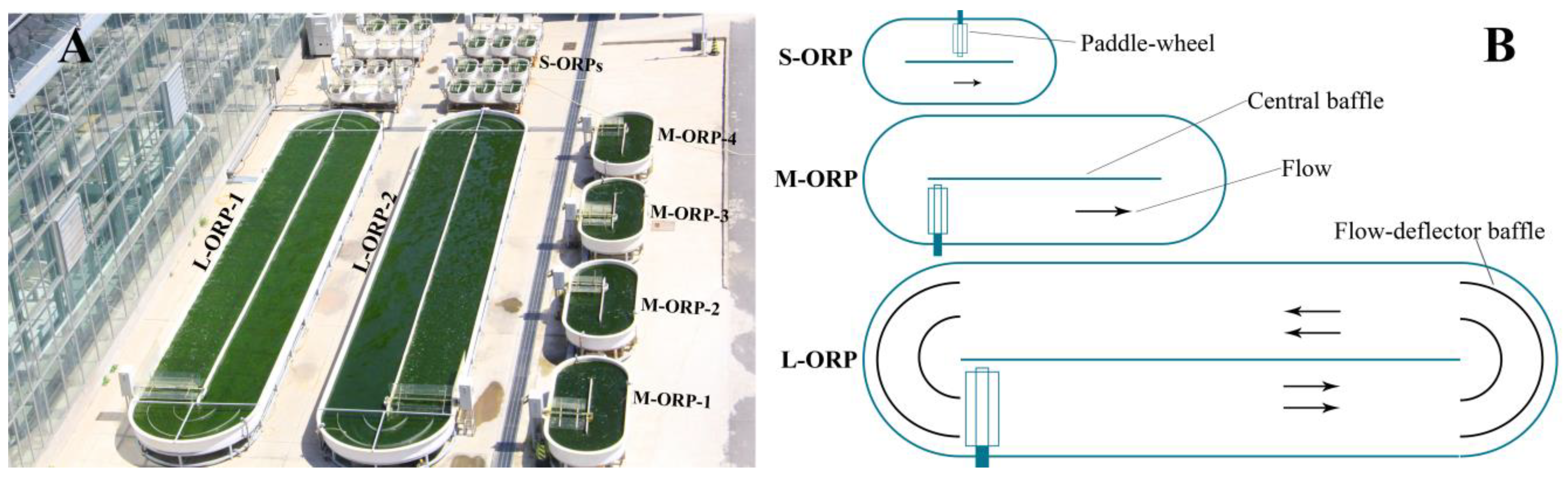 Marinedrugs 20 00343 g008 550