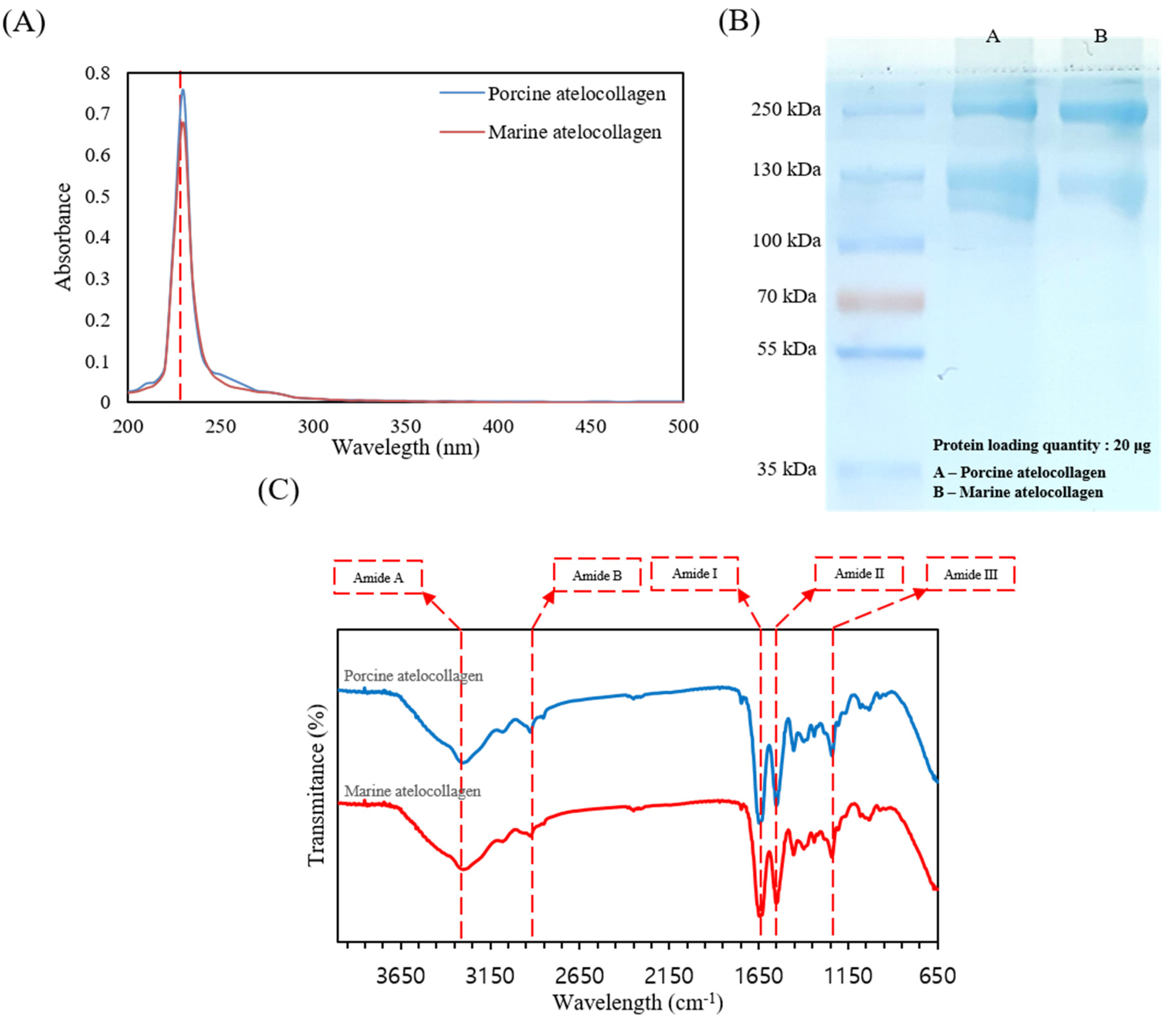 Marinedrugs 20 00344 g001
