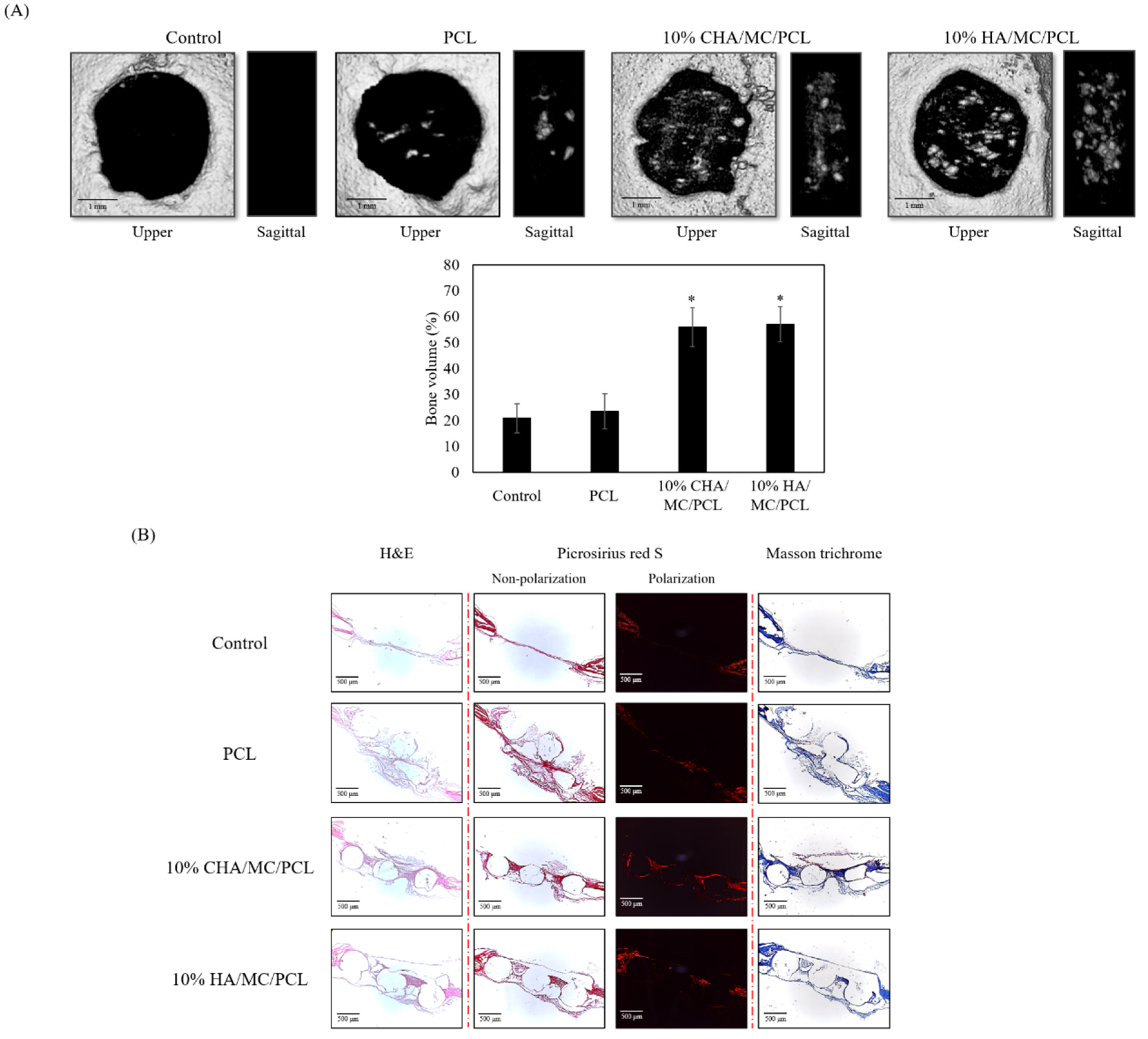 Marinedrugs 20 00344 g006