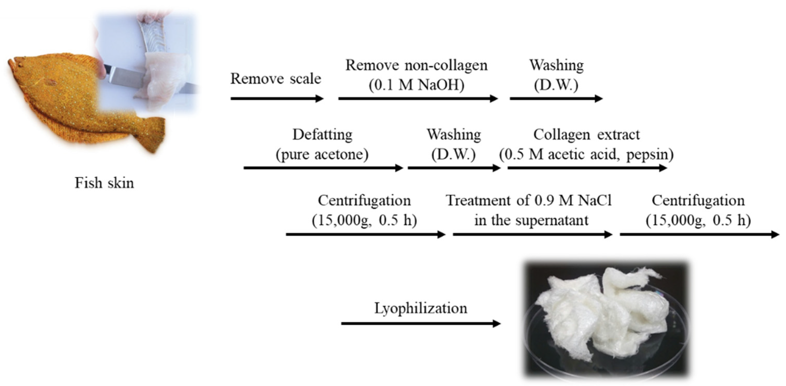 Marinedrugs 20 00344 g007