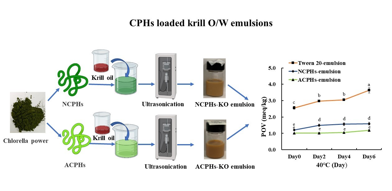 Marine Drugs Free FullText Antioxidative Effect of Chlorella