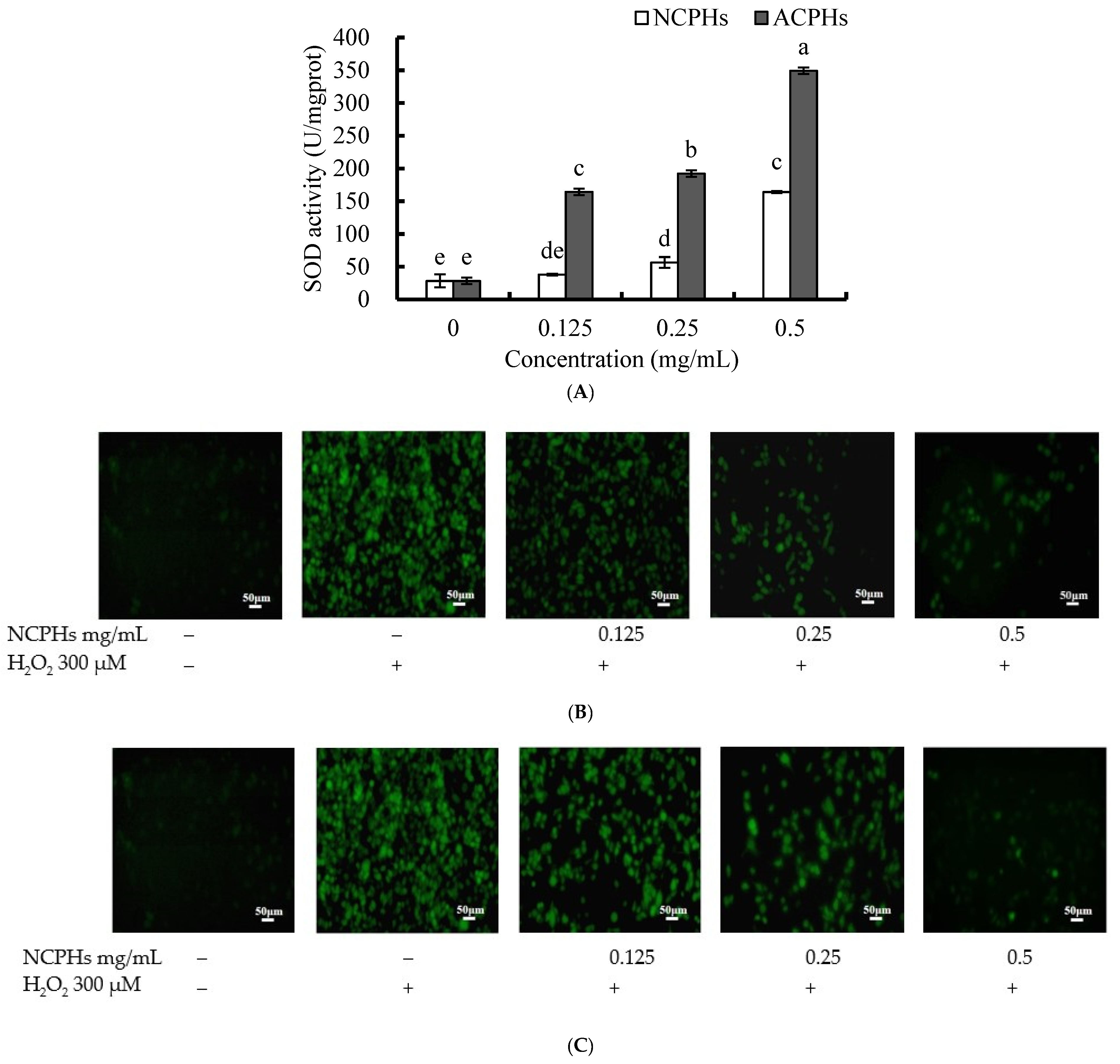 Marinedrugs 20 00345 g003