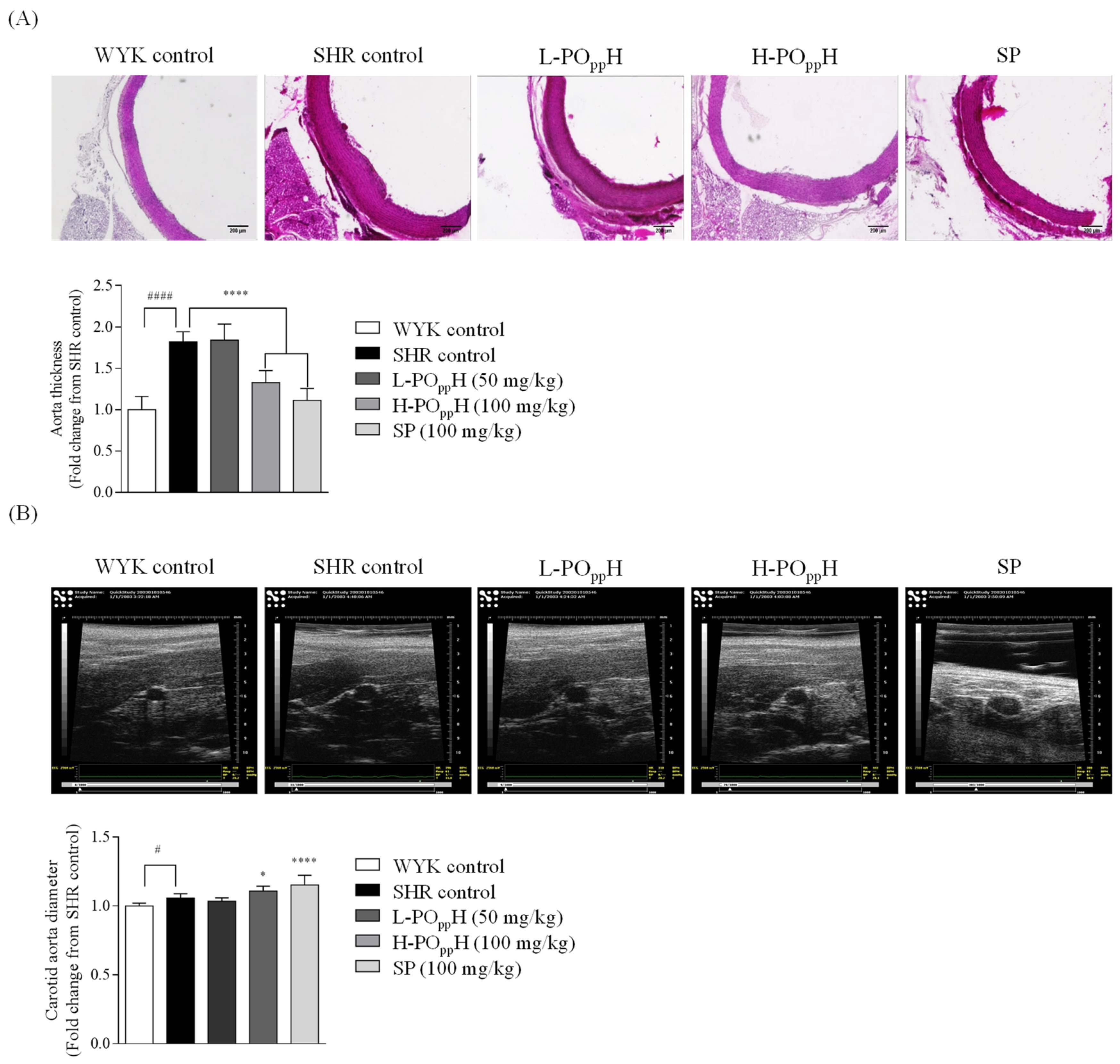 Marinedrugs 20 00346 g004
