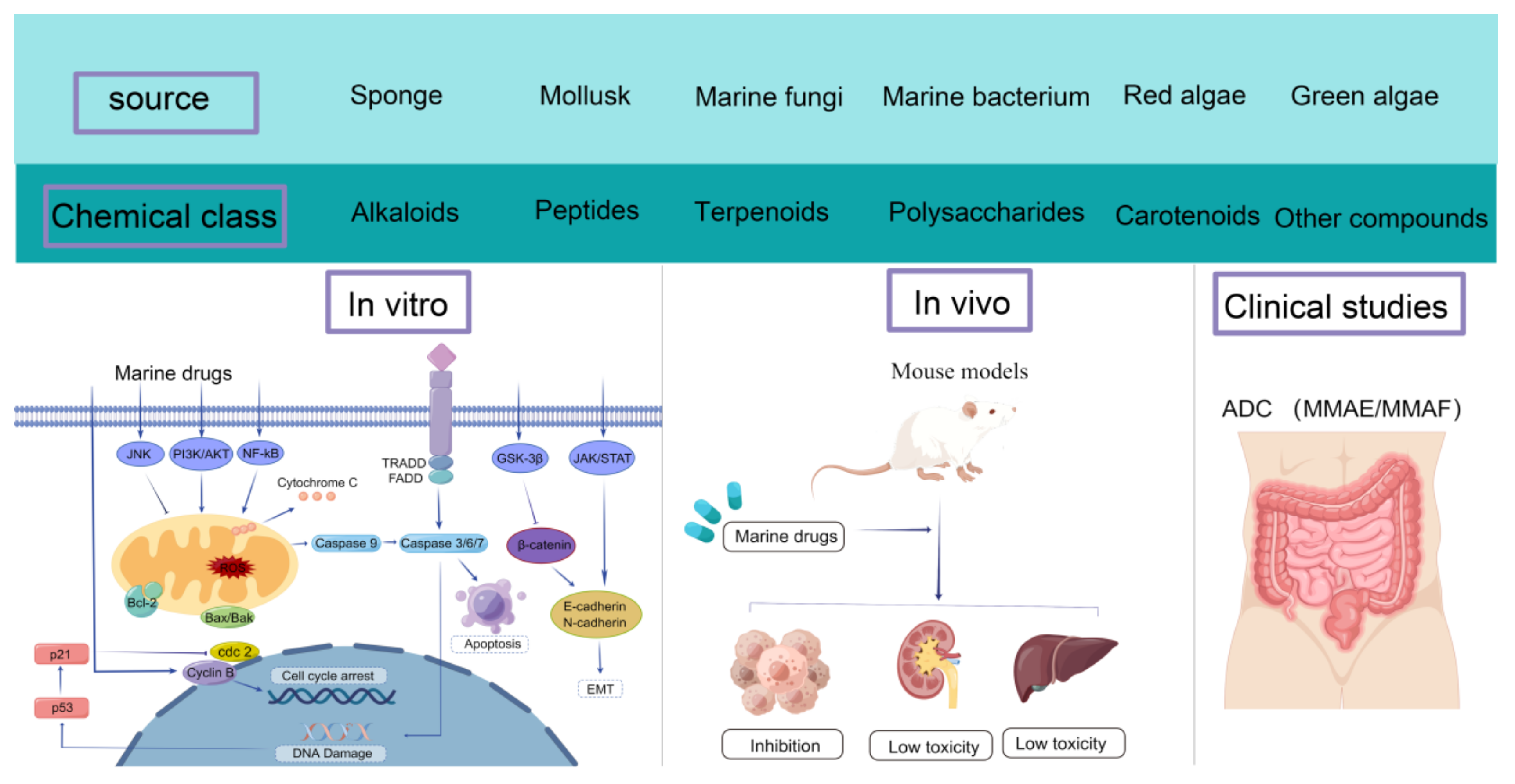 Marinedrugs 20 00349 g007