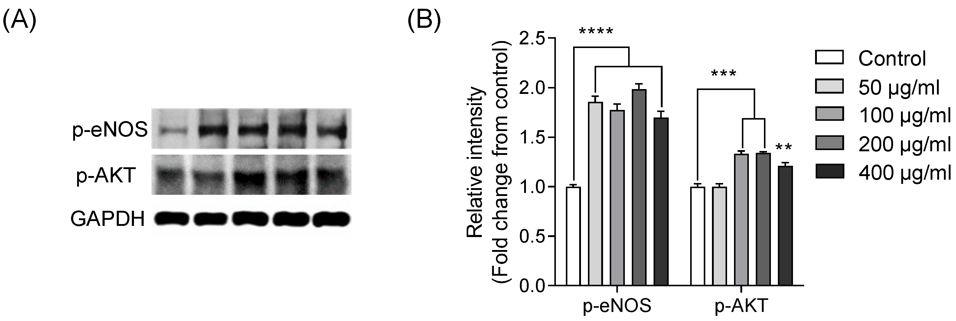 Marinedrugs 20 00354 g002