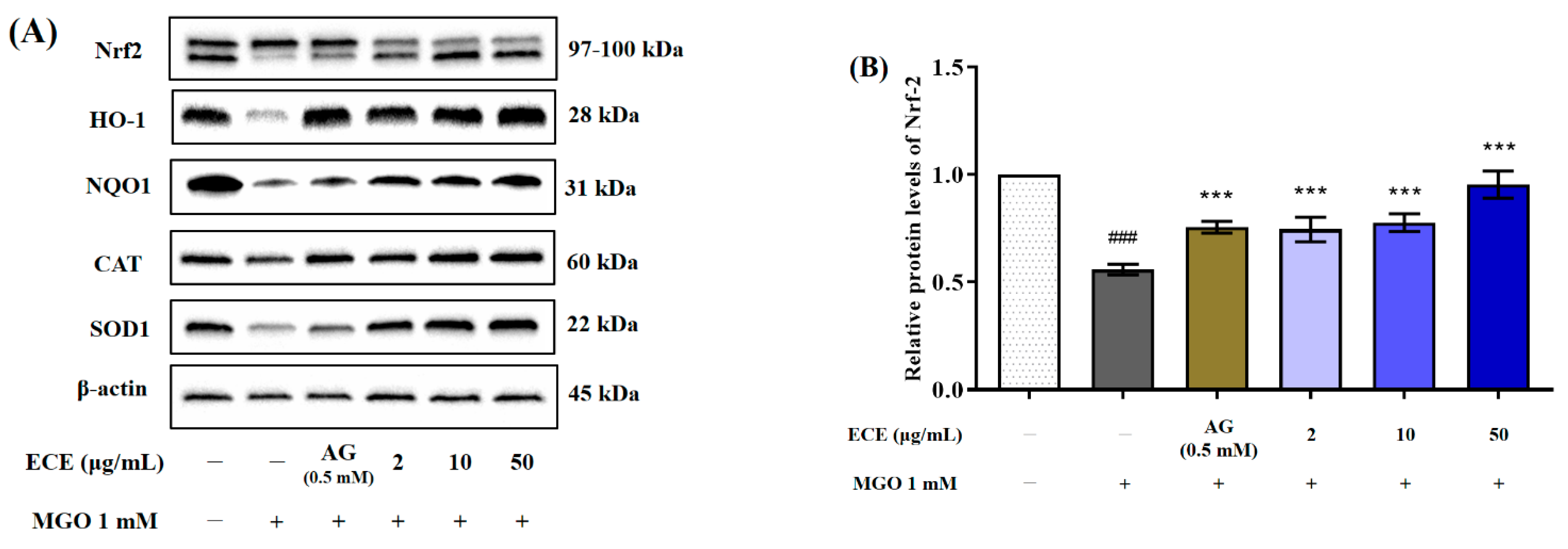 Marinedrugs 20 00355 g006a 550