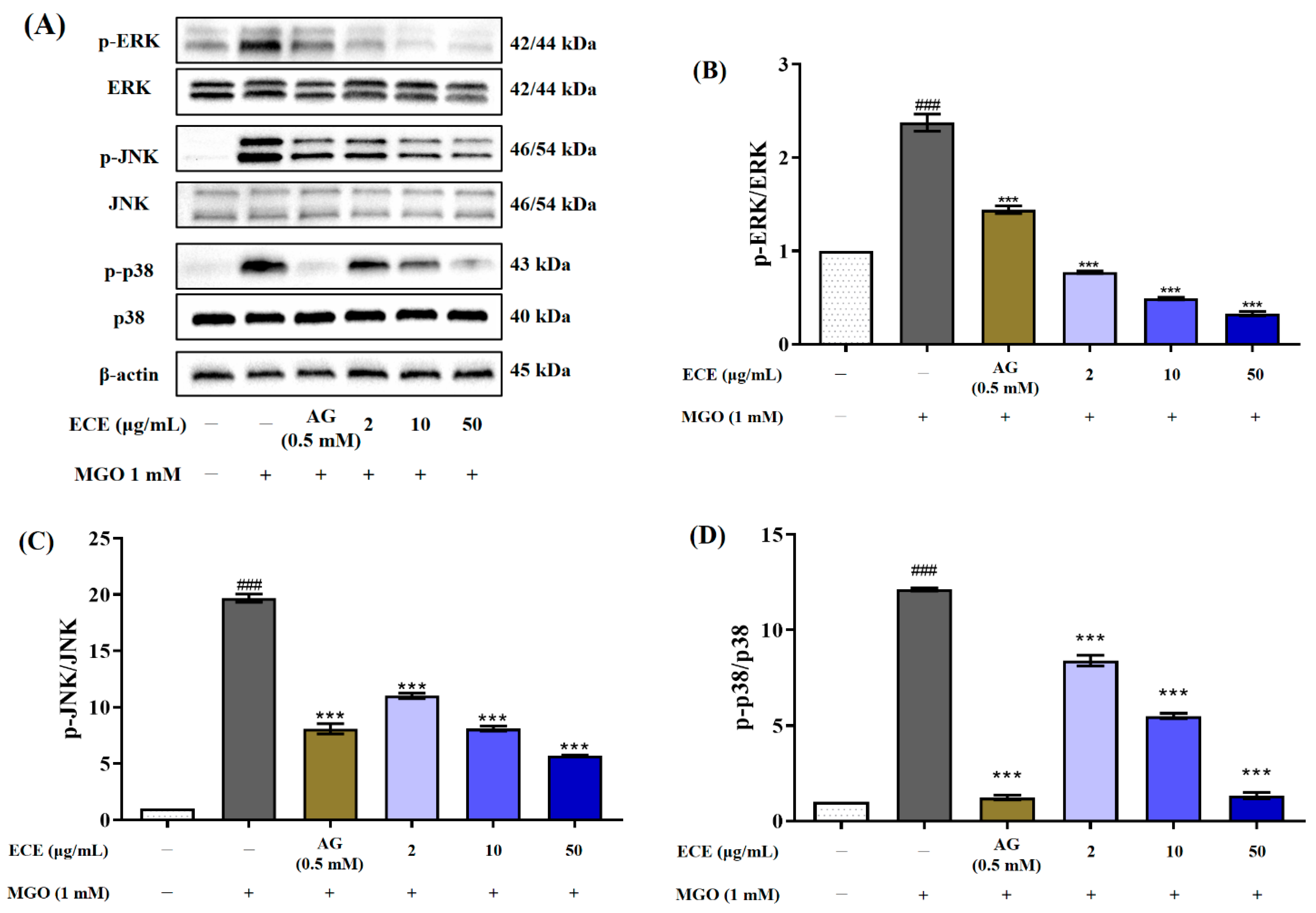 Marinedrugs 20 00355 g007 550