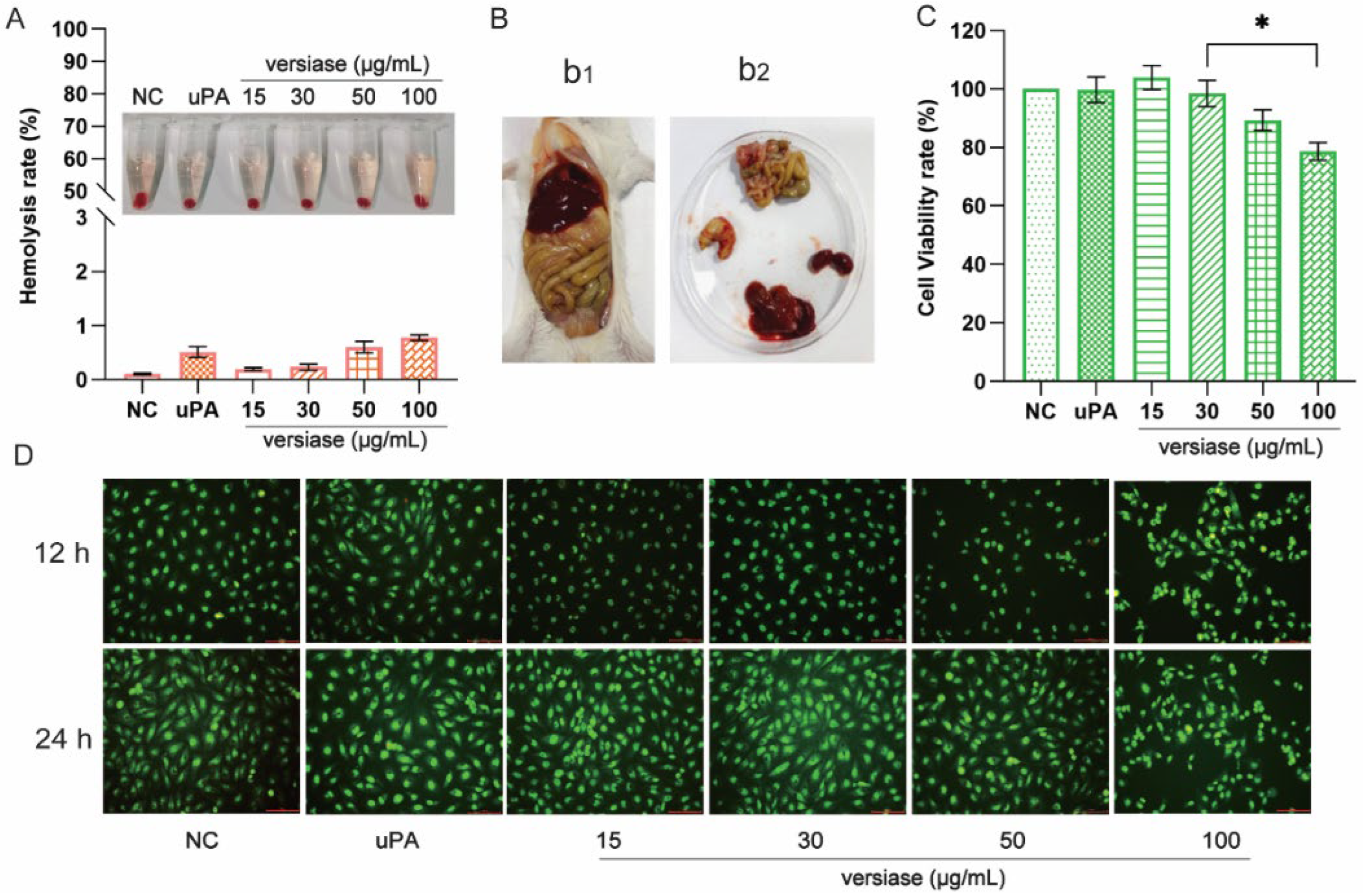 Marinedrugs 20 00356 g006 Marinedrugs 20 00356 g006