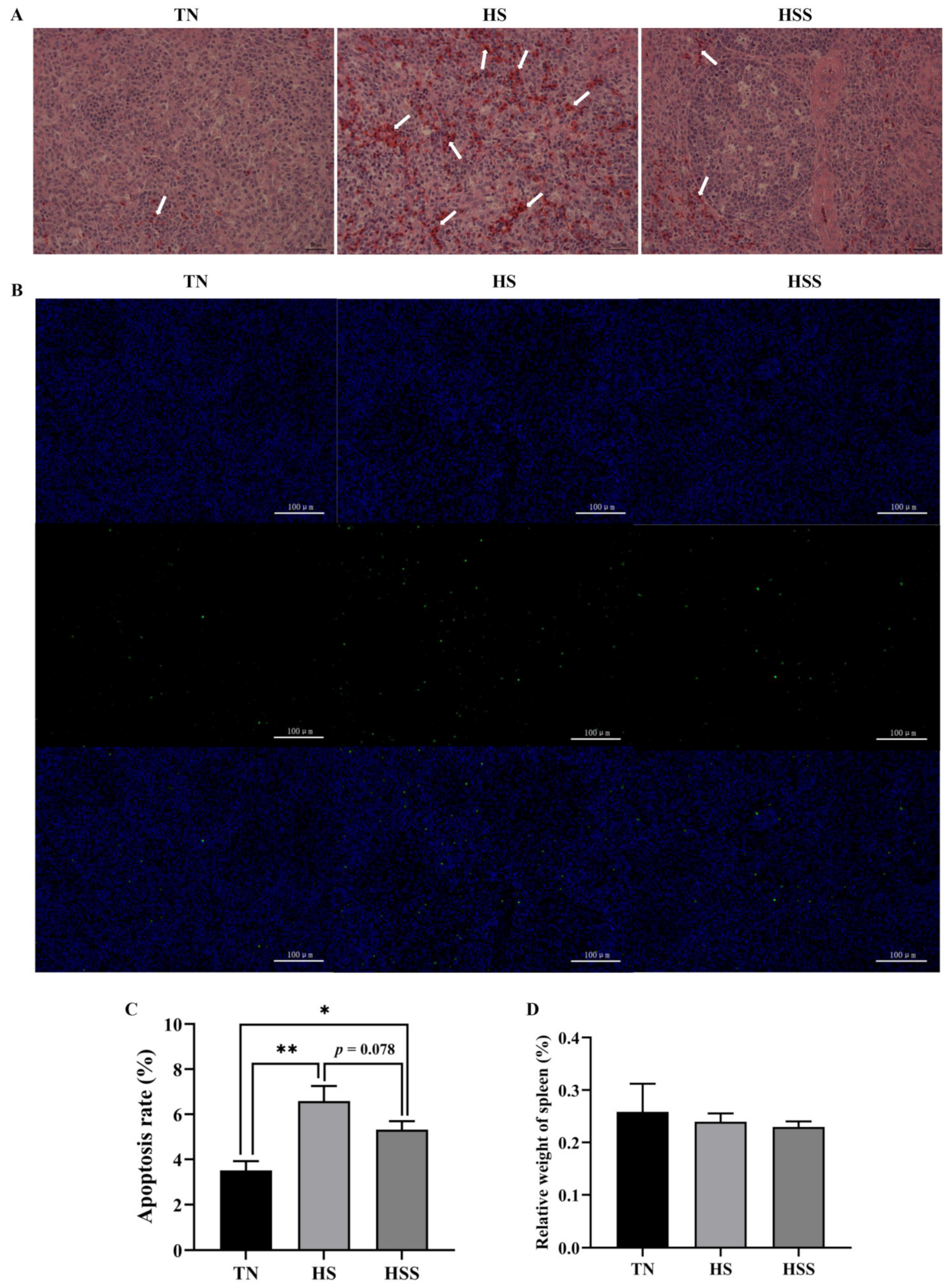 Marinedrugs 20 00358 g004
