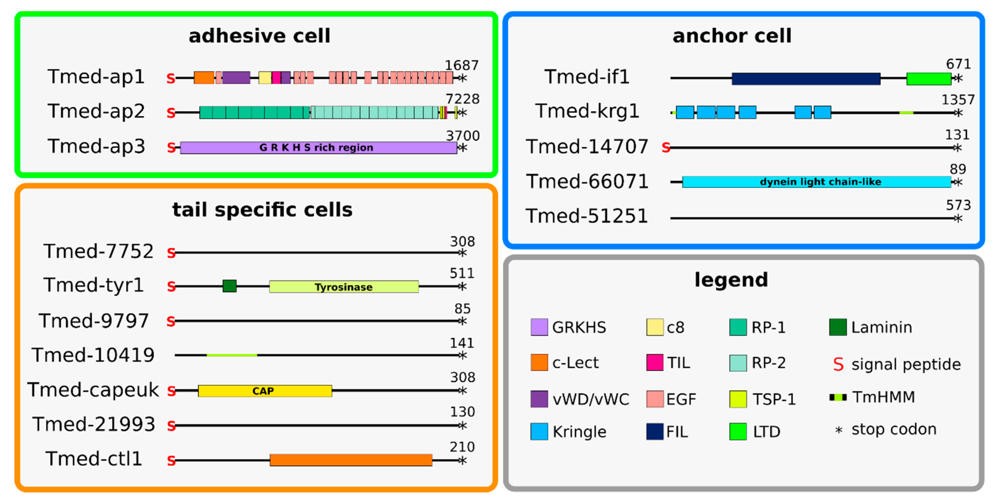 Marinedrugs 20 00359 g004 550