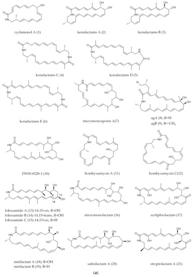 Polyene Macrolactams from Marine and Terrestrial Sources