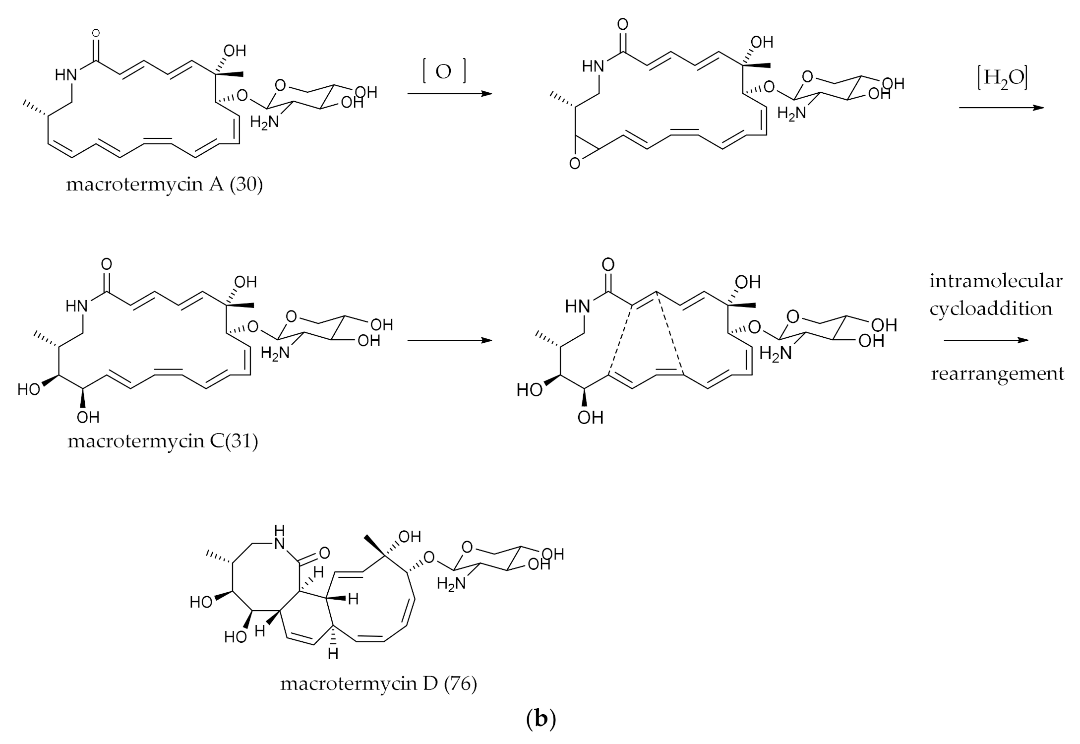 Marinedrugs 20 00360 g007b Marinedrugs 20 00360 g007b