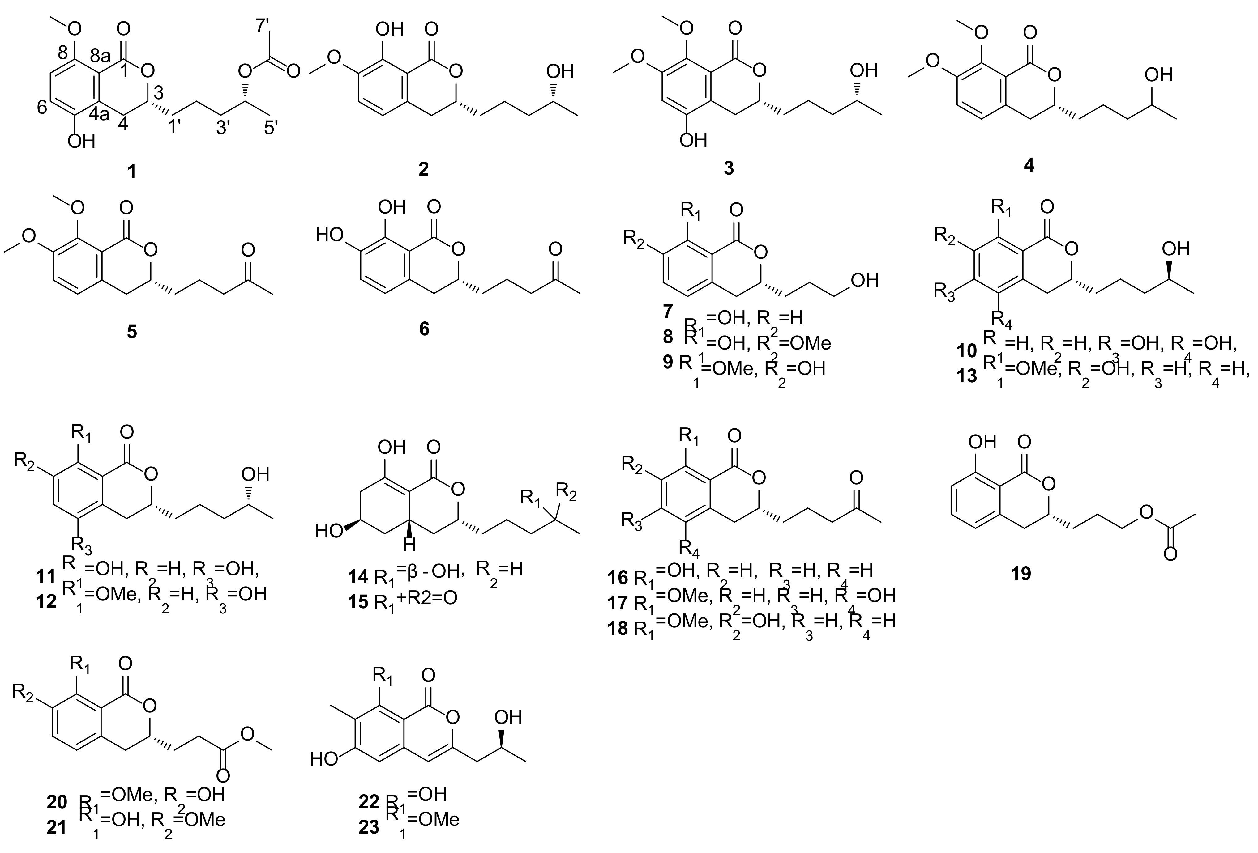 Marinedrugs 20 00361 g001