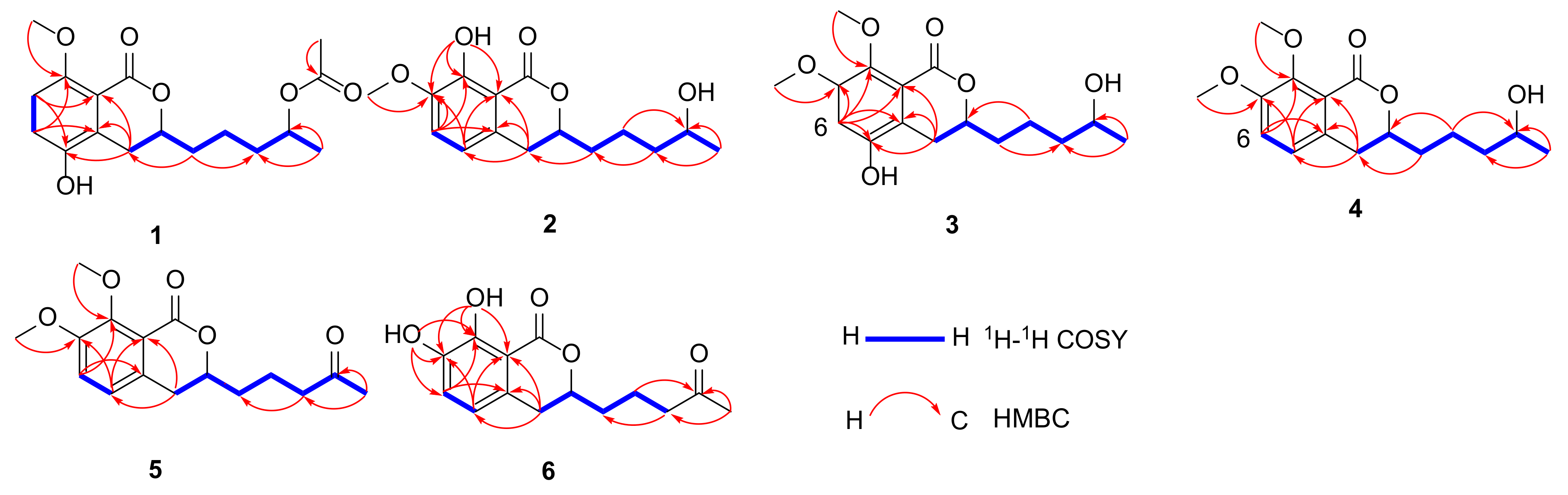 Marinedrugs 20 00361 g002