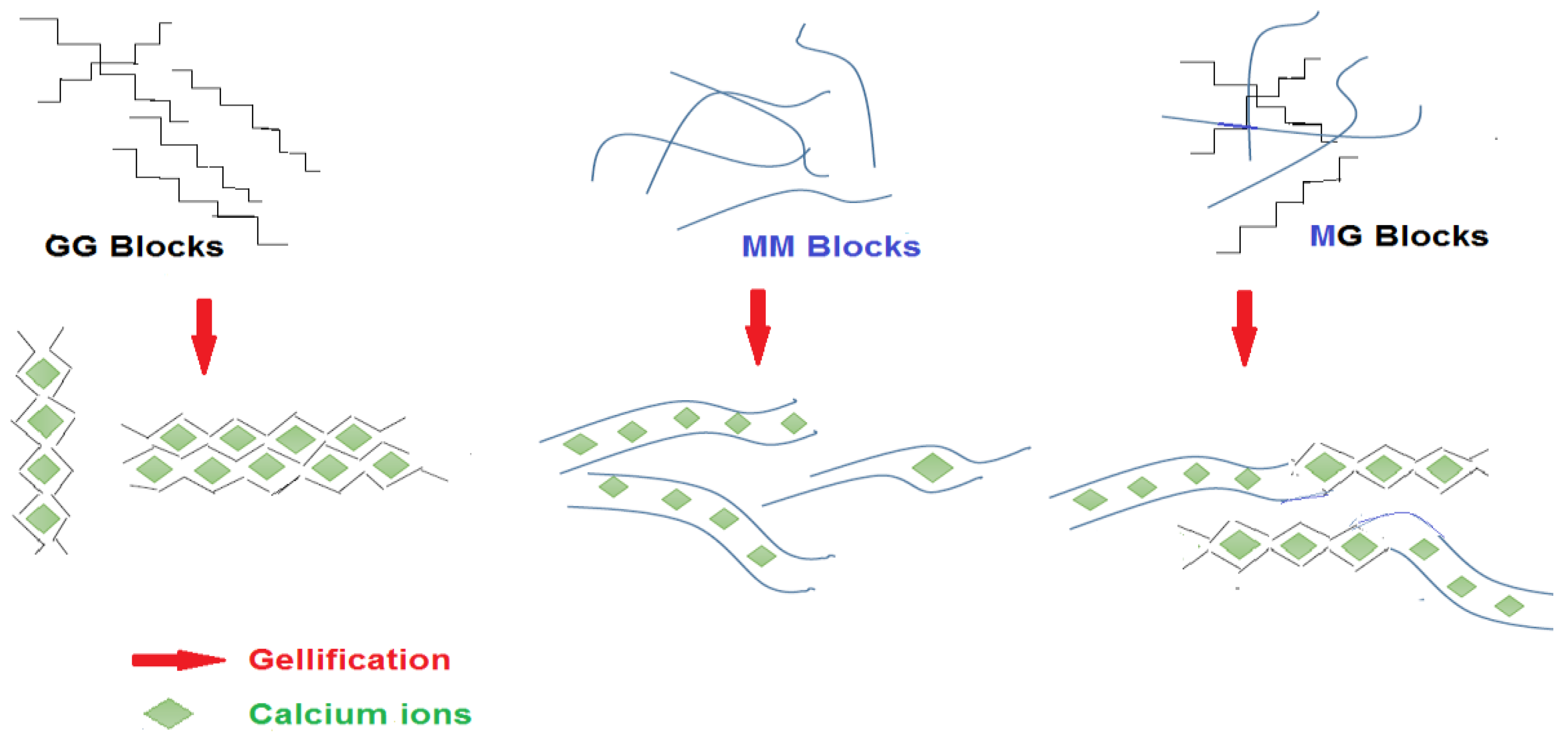 Marinedrugs 20 00364 g005