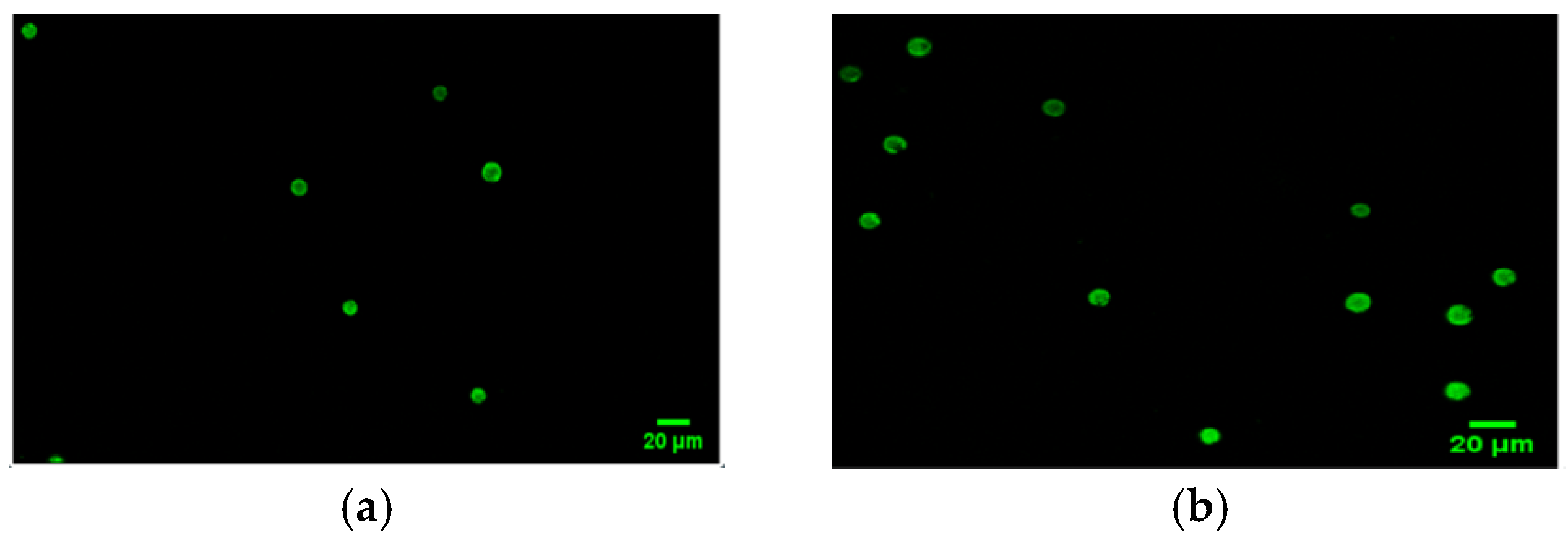 Marinedrugs 20 00367 g0a1a 550