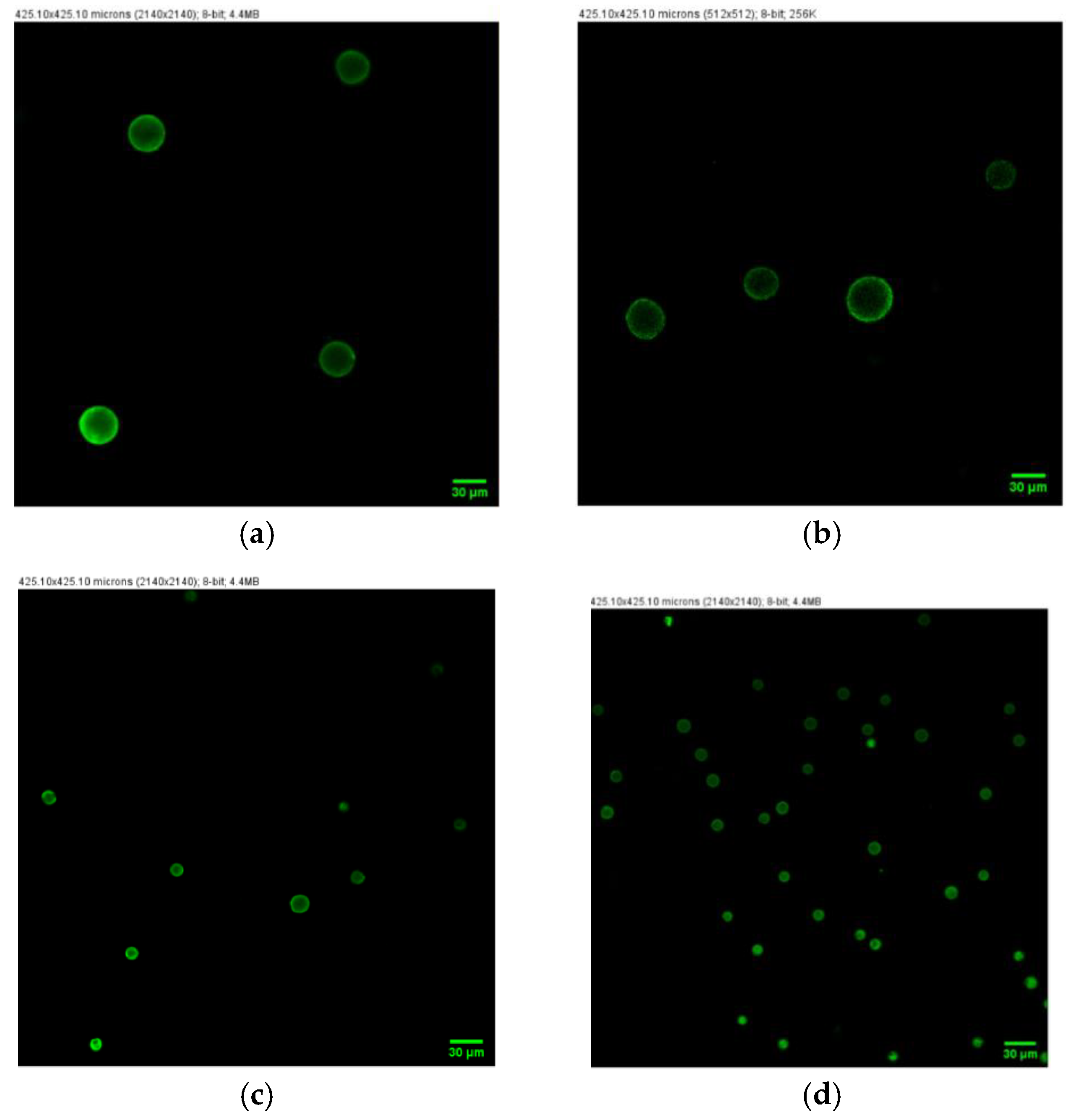 Marinedrugs 20 00367 g0a2 550