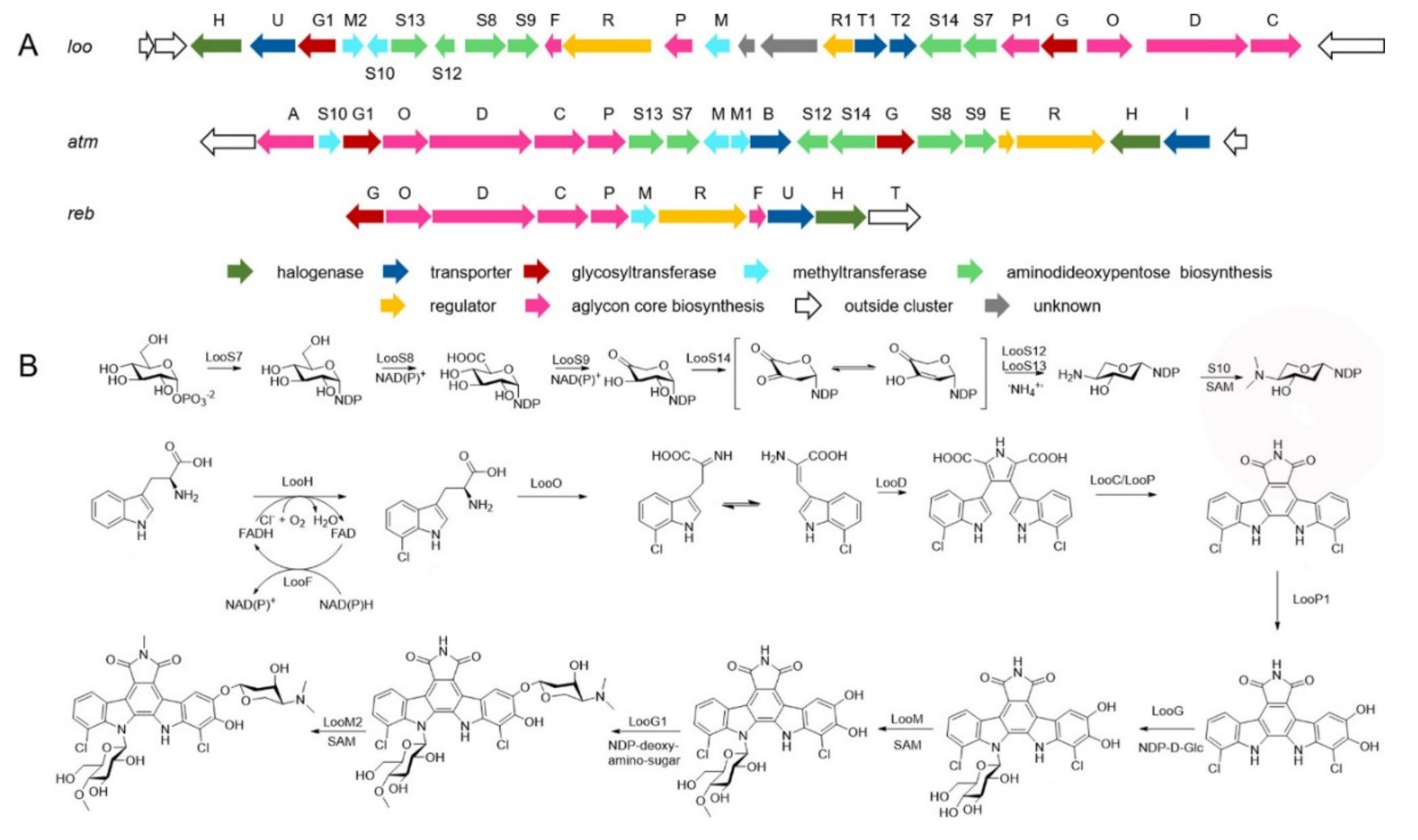 Marinedrugs 20 00374 g006 550
