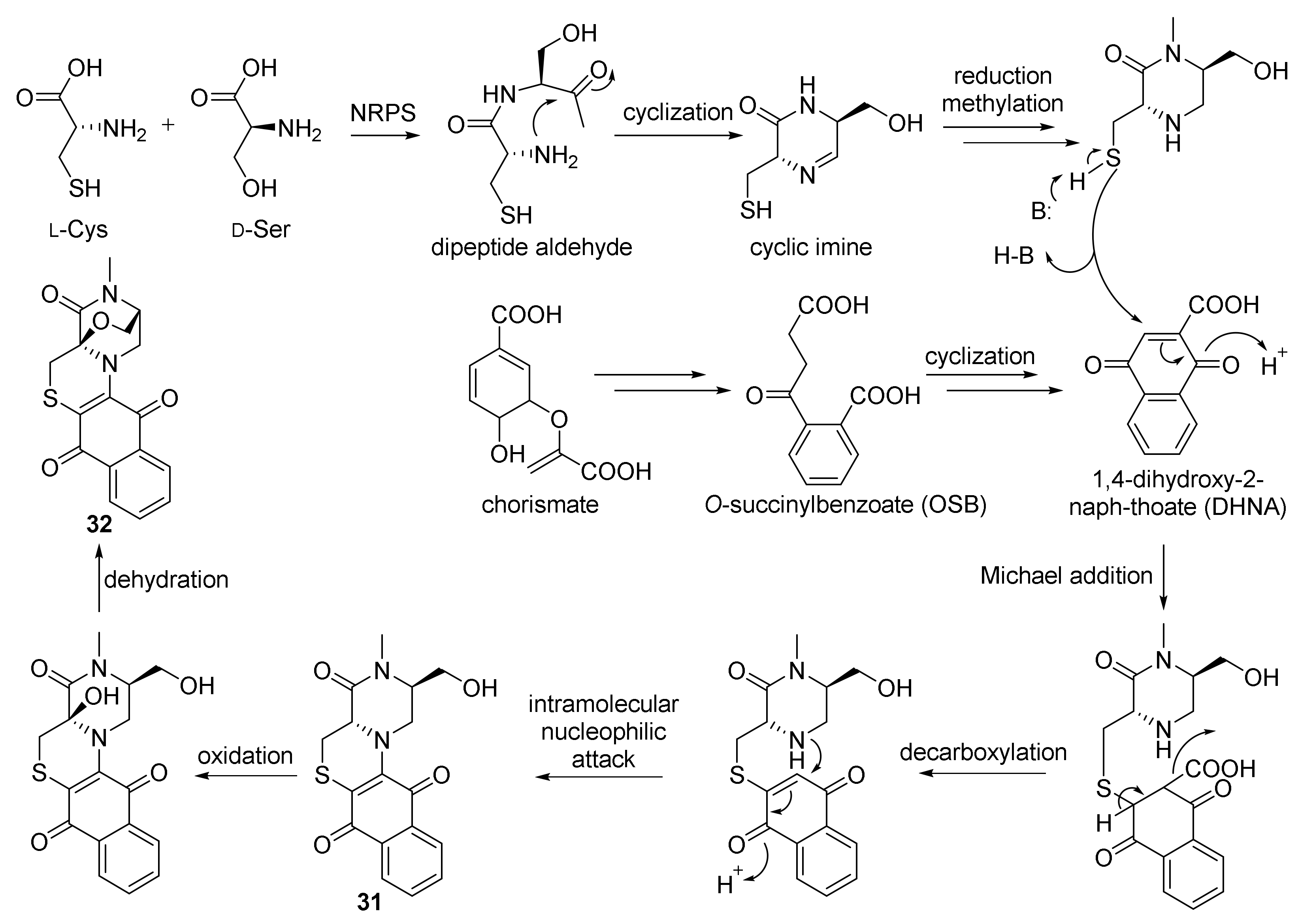 Marinedrugs 20 00374 g007 550