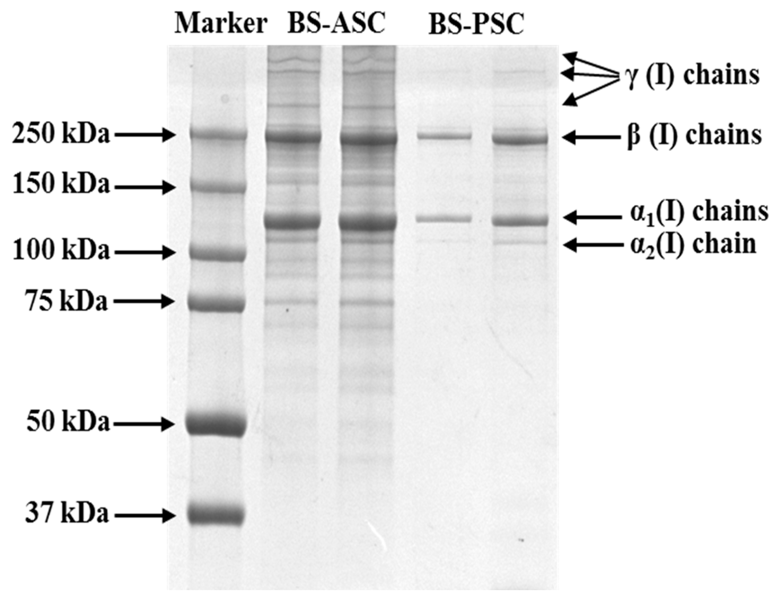 Marinedrugs 20 00376 g001