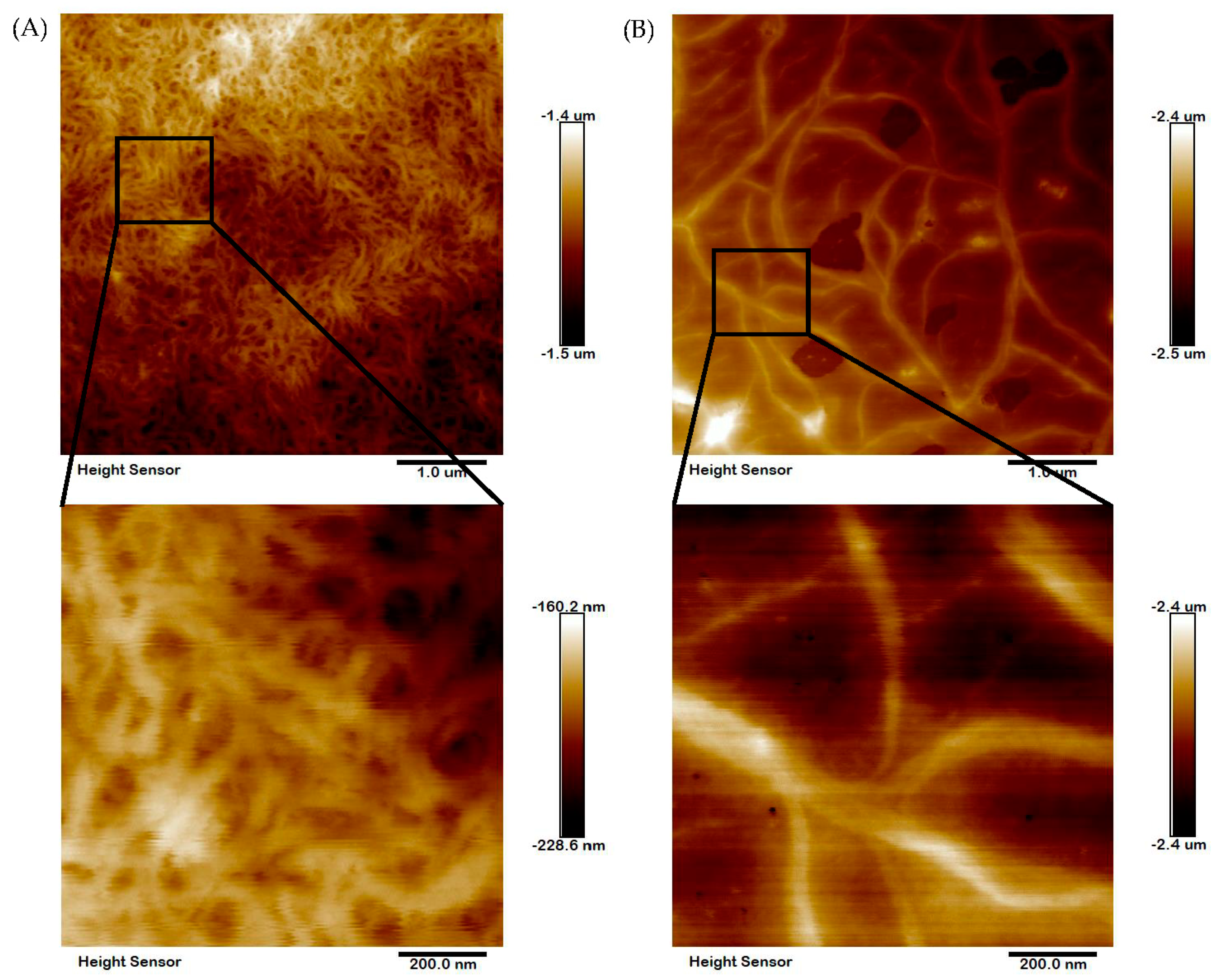 Marinedrugs 20 00376 g006