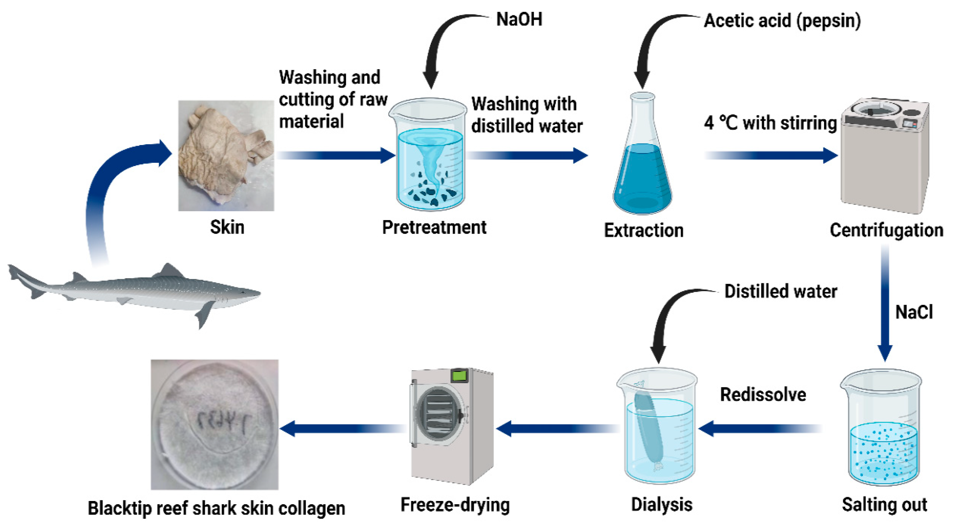 Marinedrugs 20 00376 g007