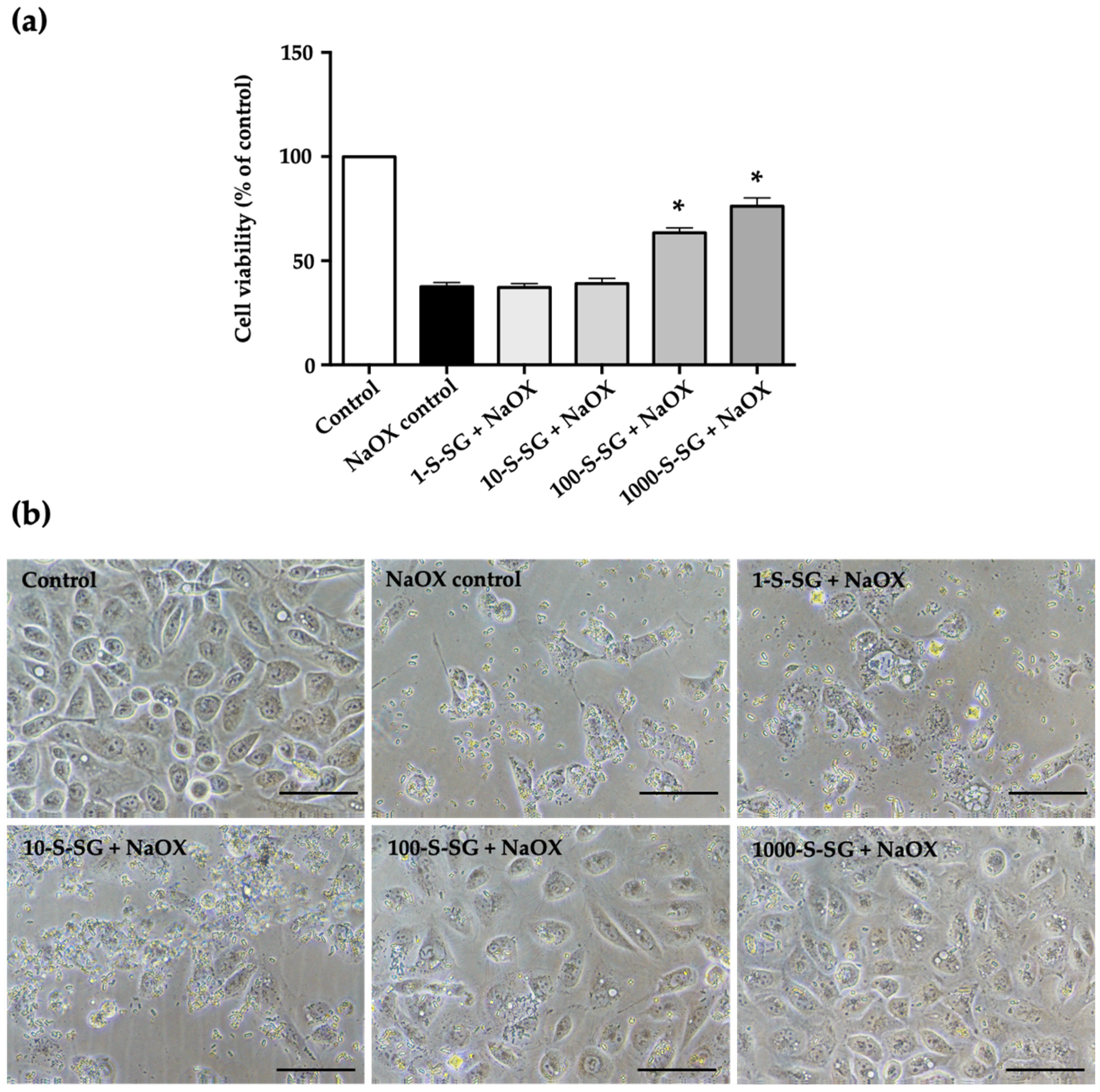 Marinedrugs 20 00382 g005 Marinedrugs 20 00382 g005