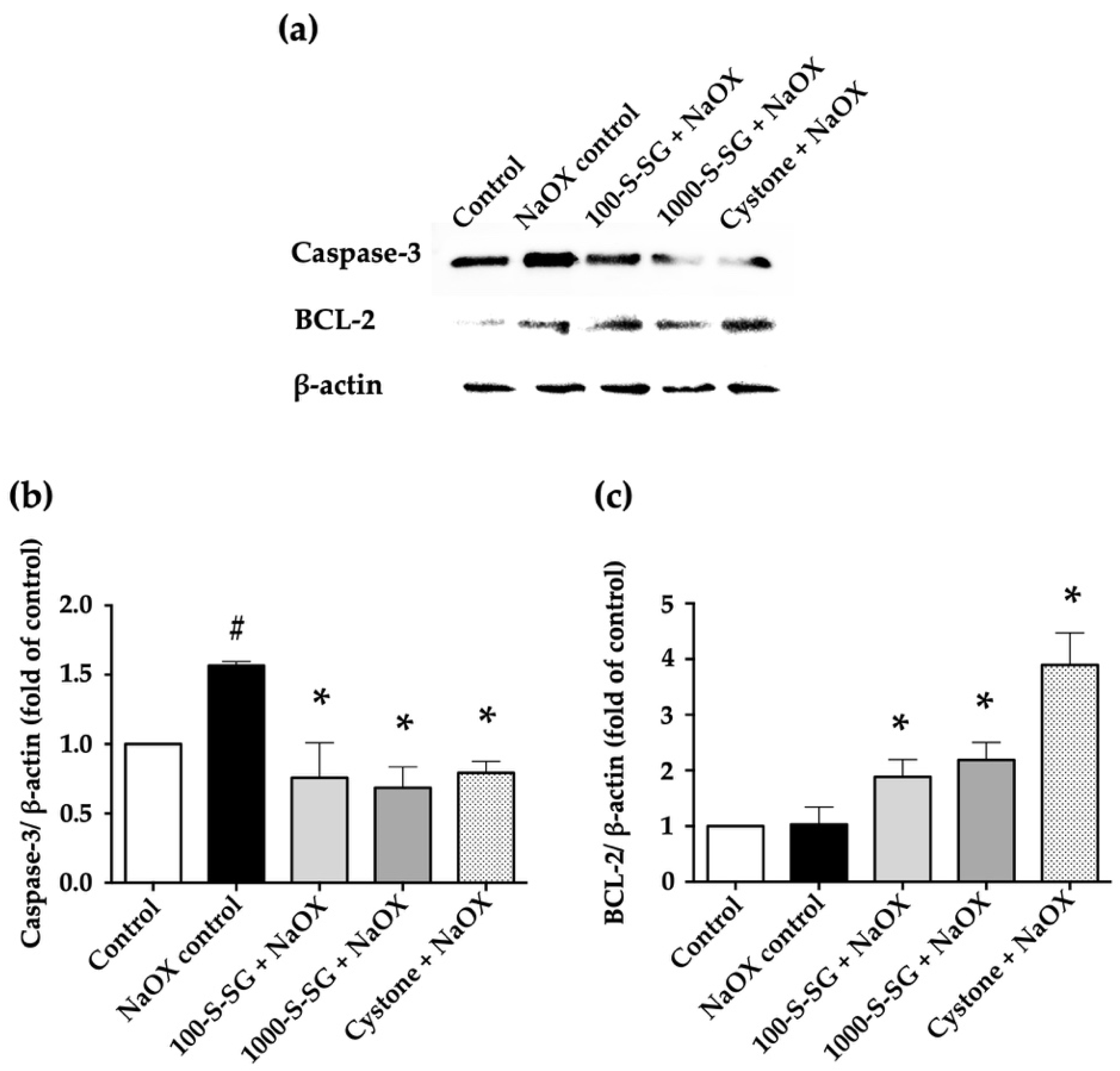 Marinedrugs 20 00382 g006 Marinedrugs 20 00382 g006