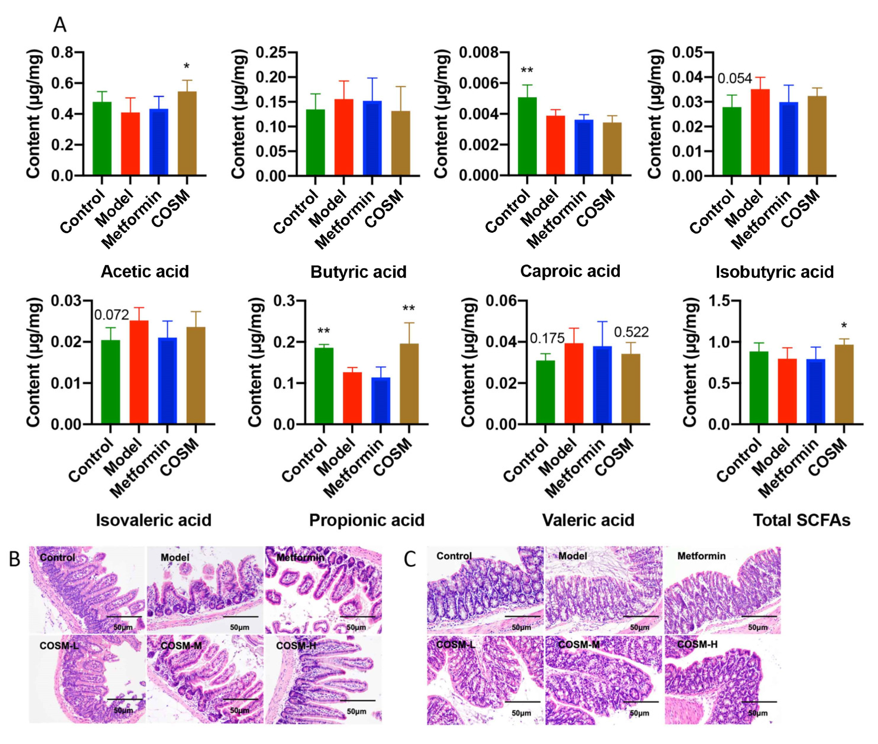 Marinedrugs 20 00383 g006