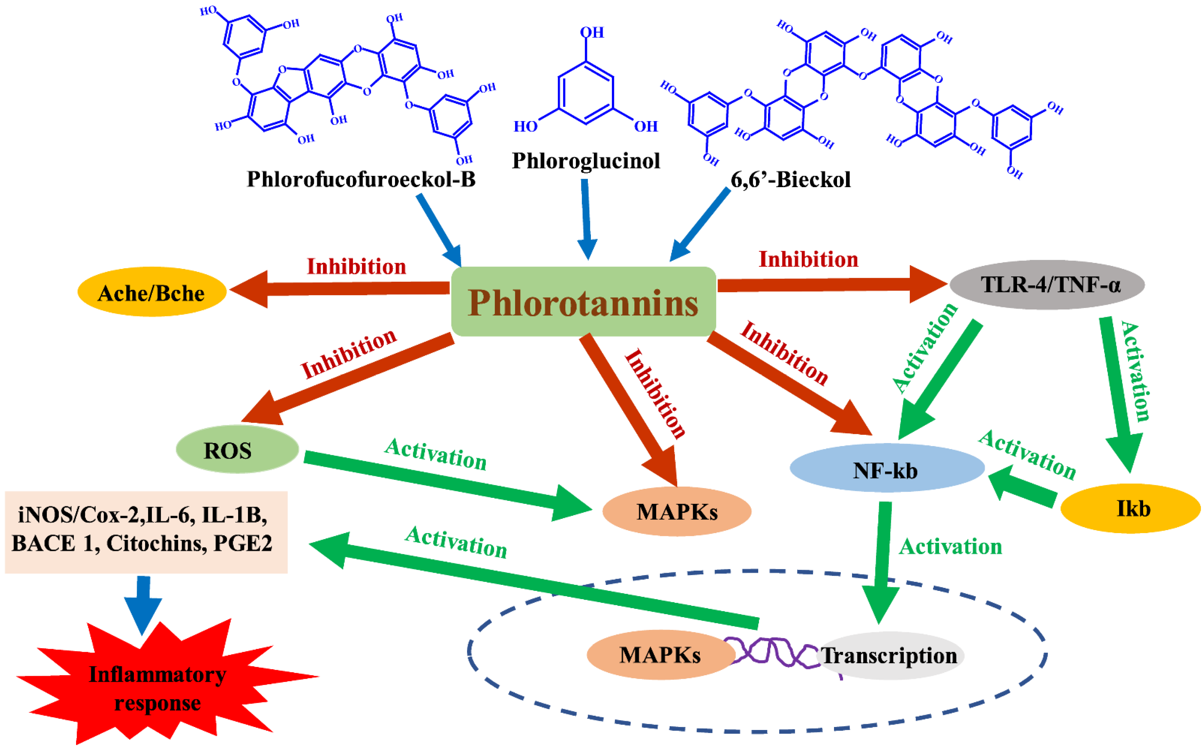Marinedrugs 20 00384 g004 550