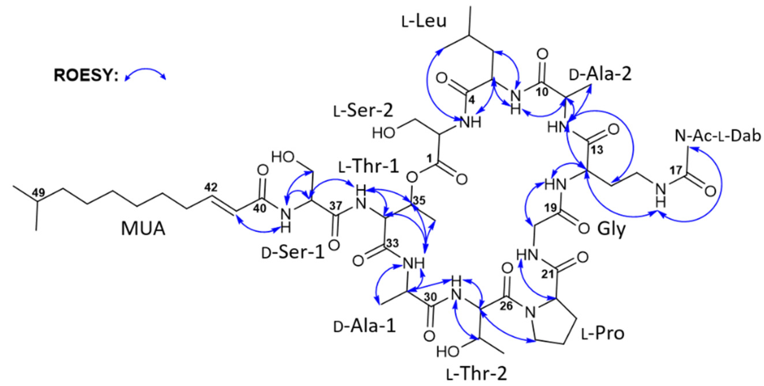 Marinedrugs 20 00400 g003