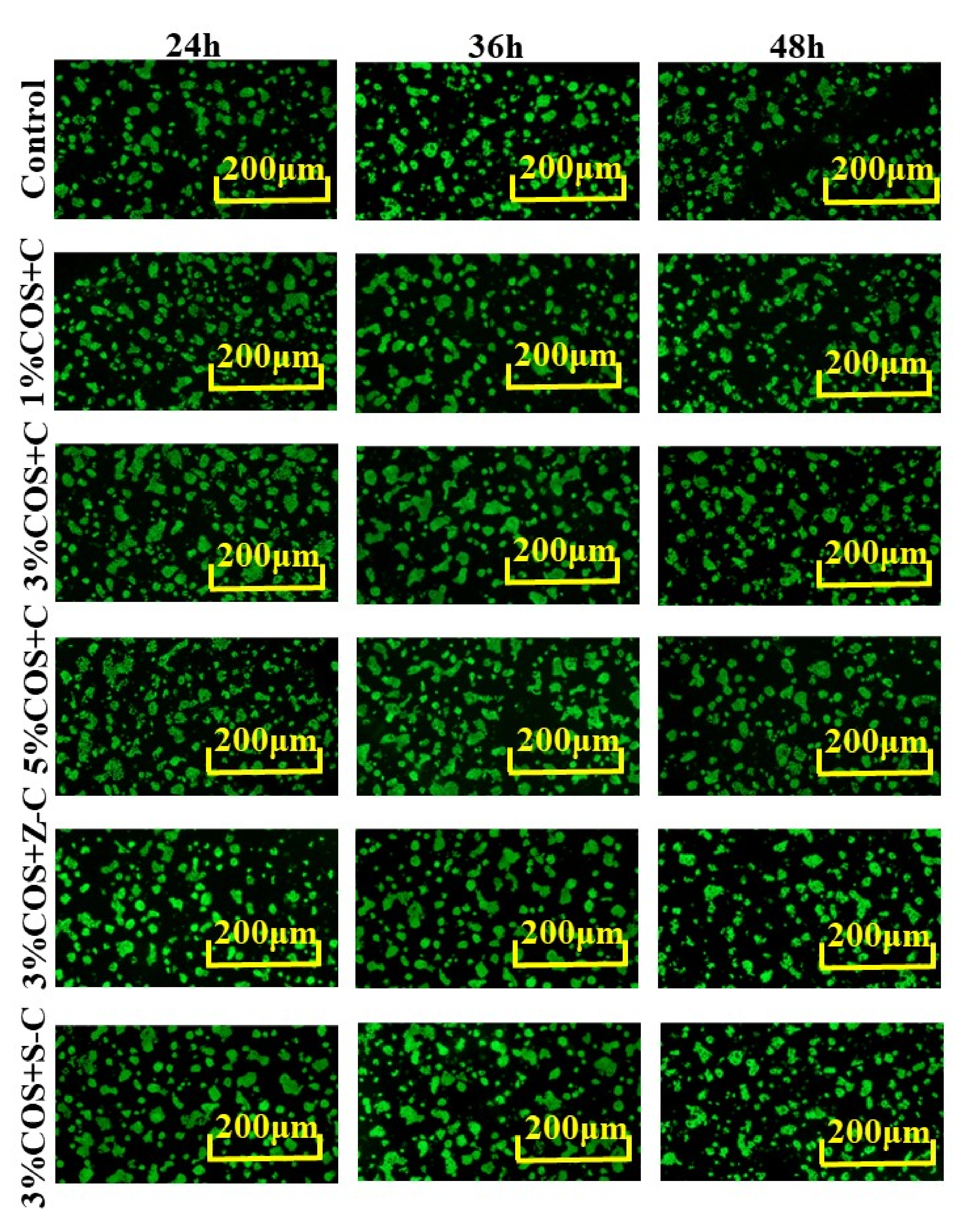 Marinedrugs 20 00401 g005 550