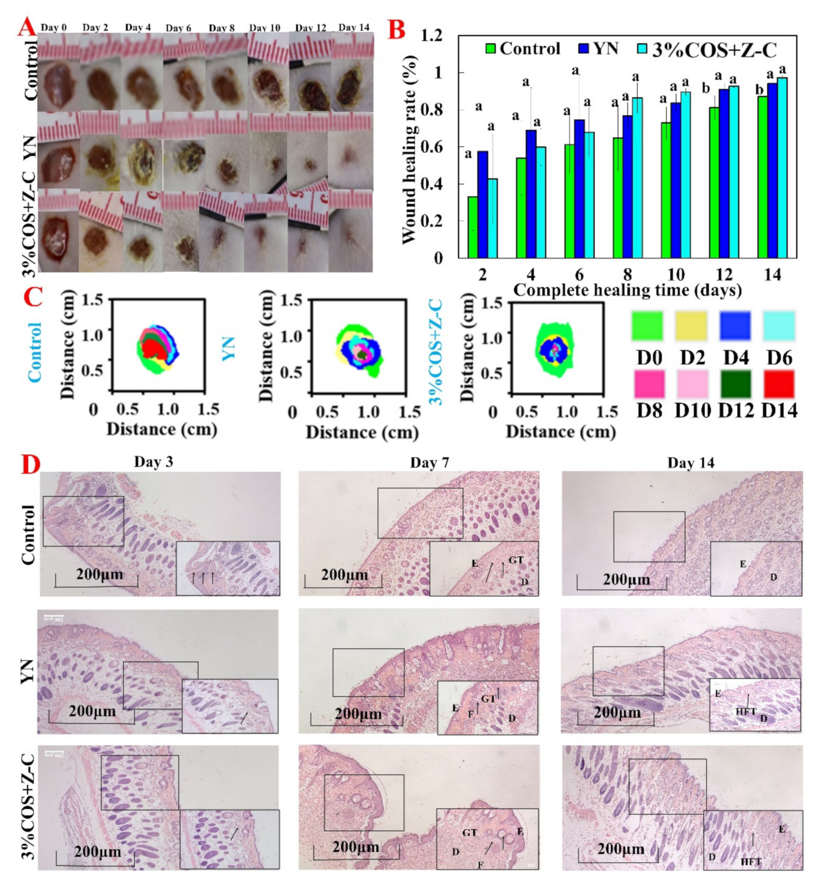 Marinedrugs 20 00401 g006 550