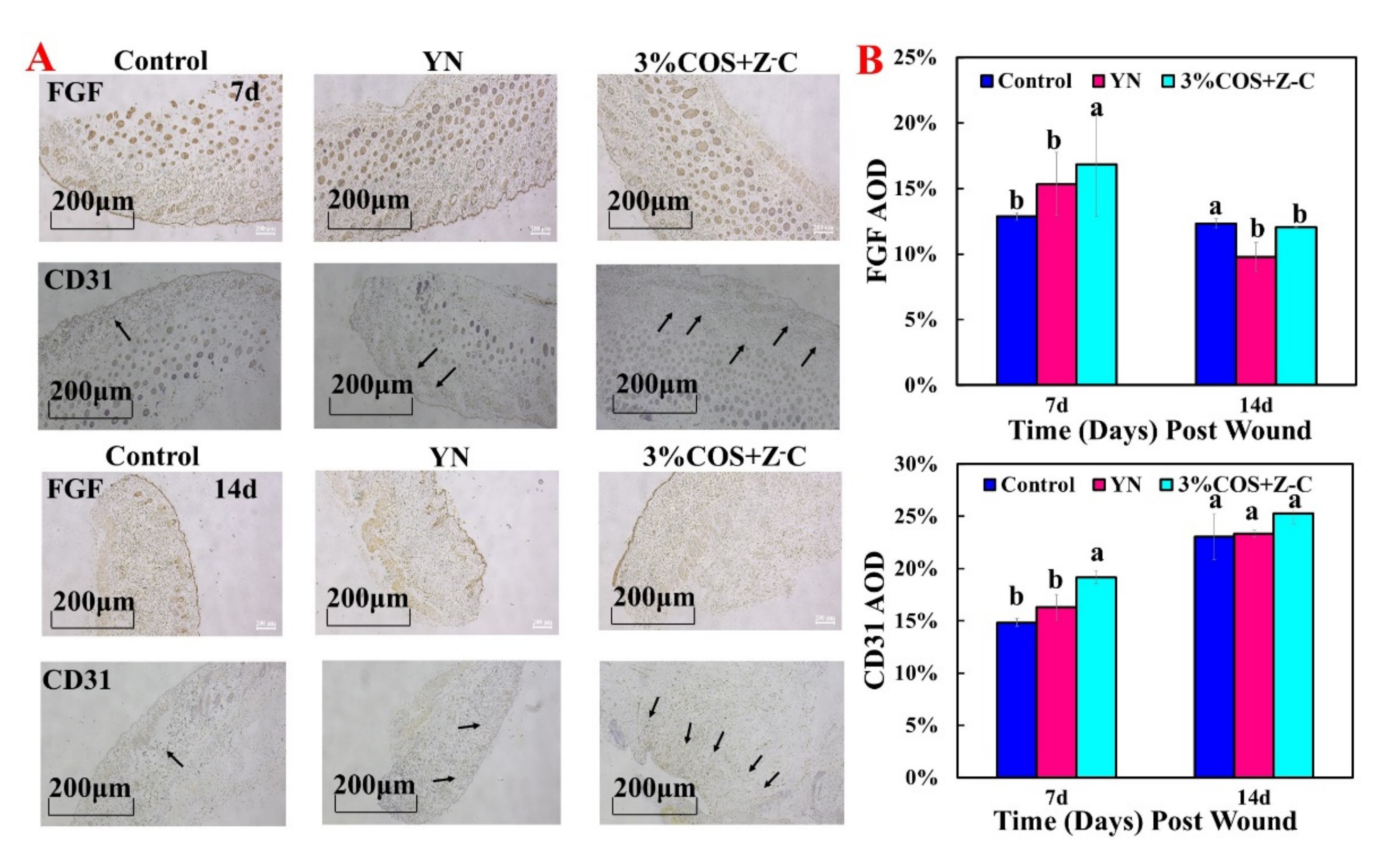 Marinedrugs 20 00401 g007 550
