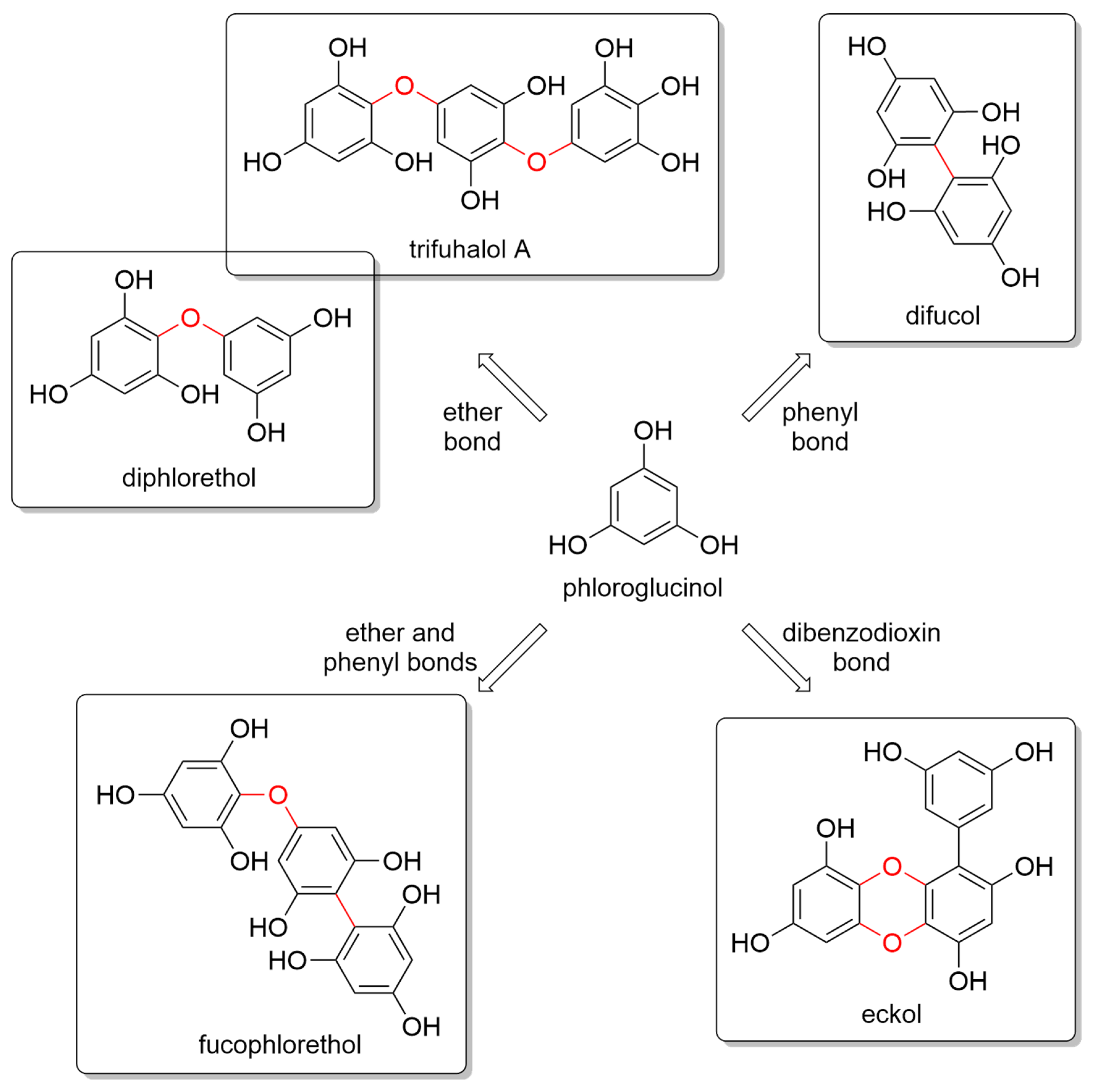 Marinedrugs 20 00403 g001