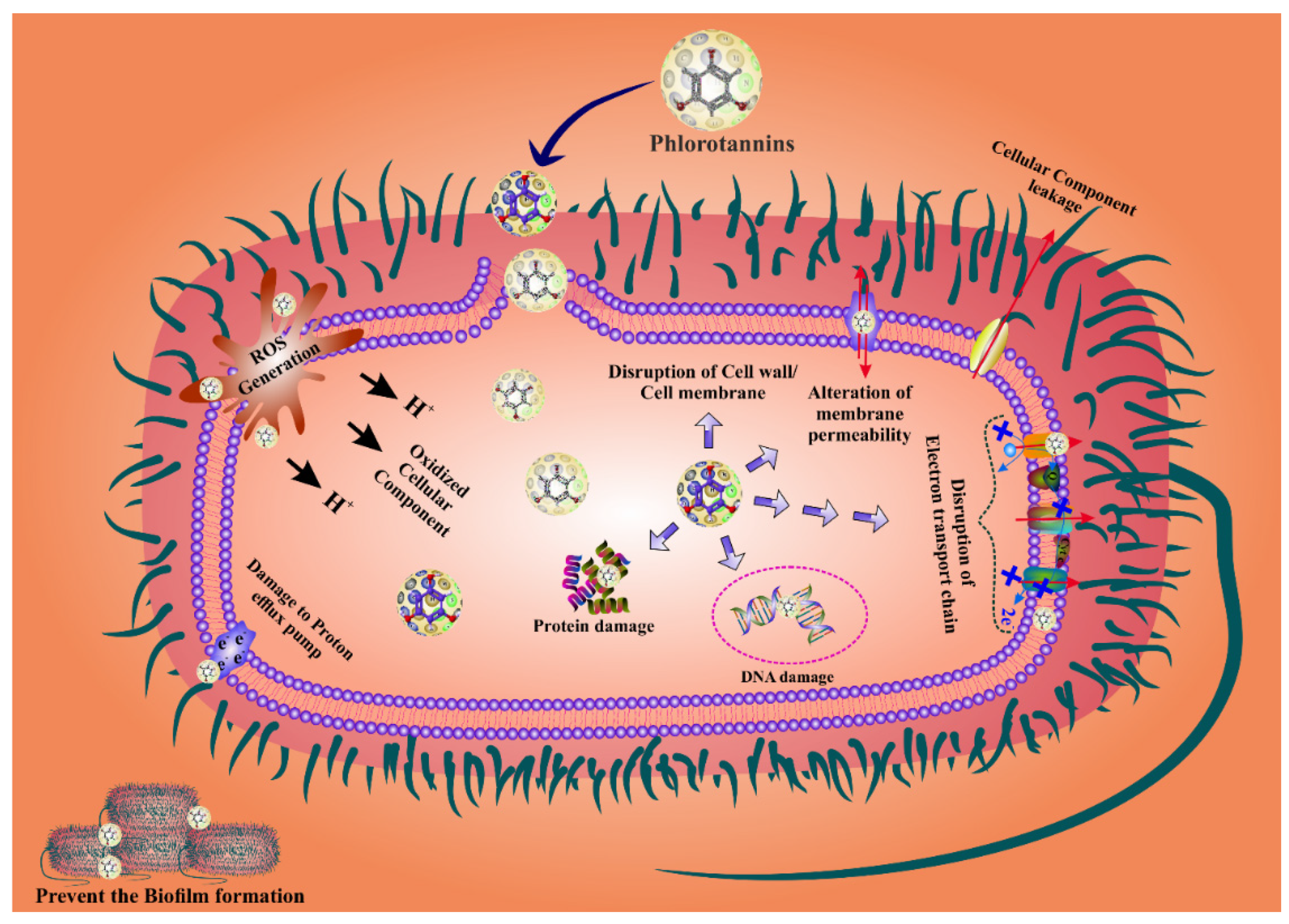 Marinedrugs 20 00403 g002