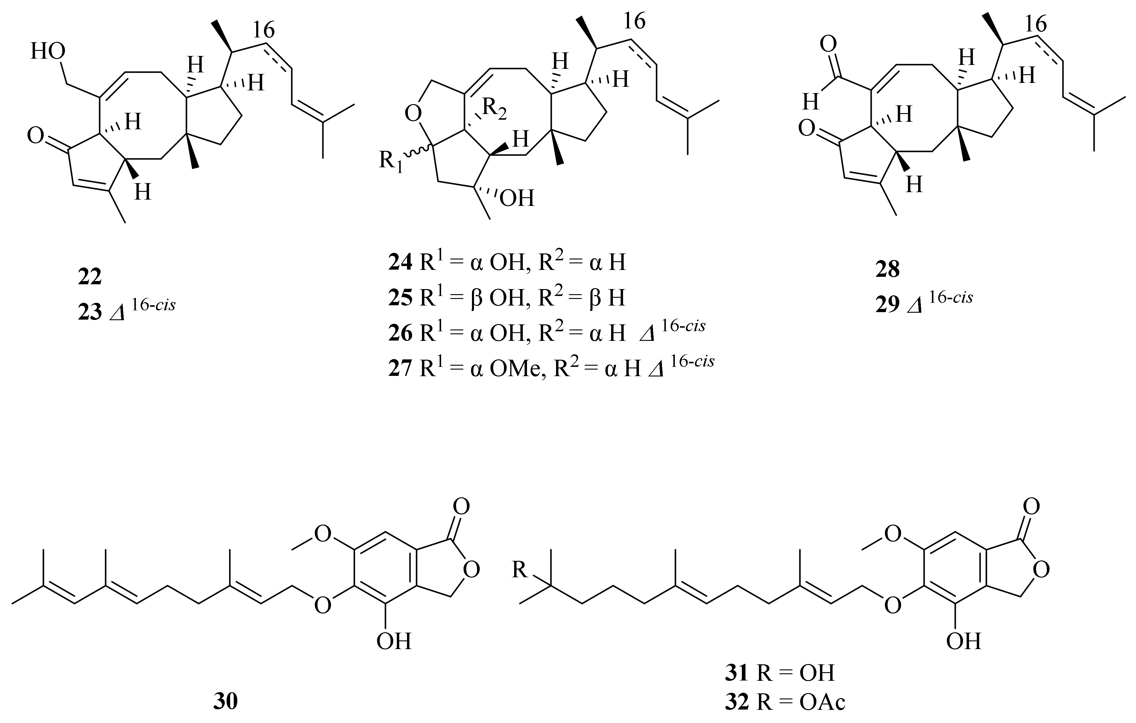 Marinedrugs 20 00404 g003