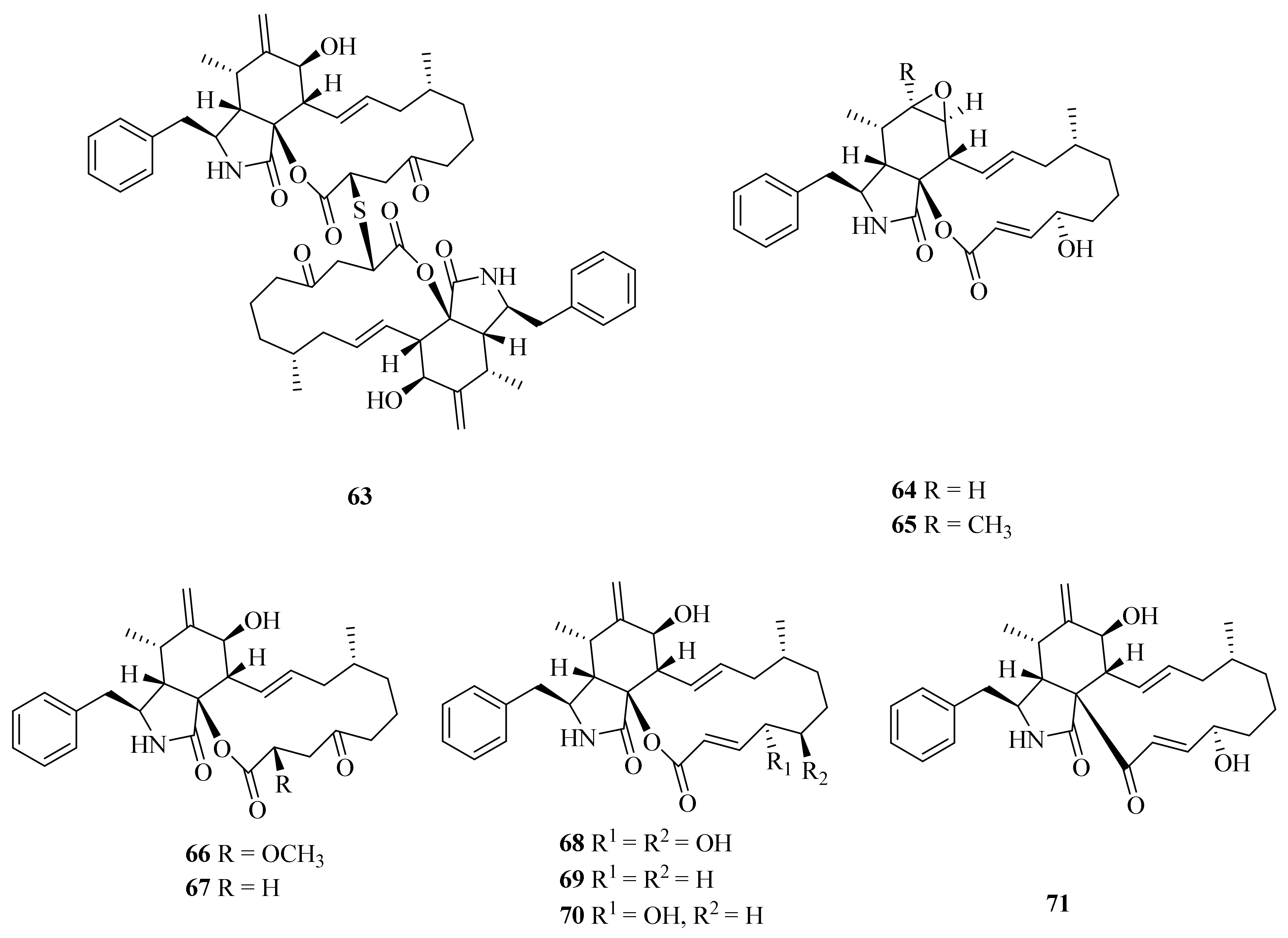 Marinedrugs 20 00404 g008