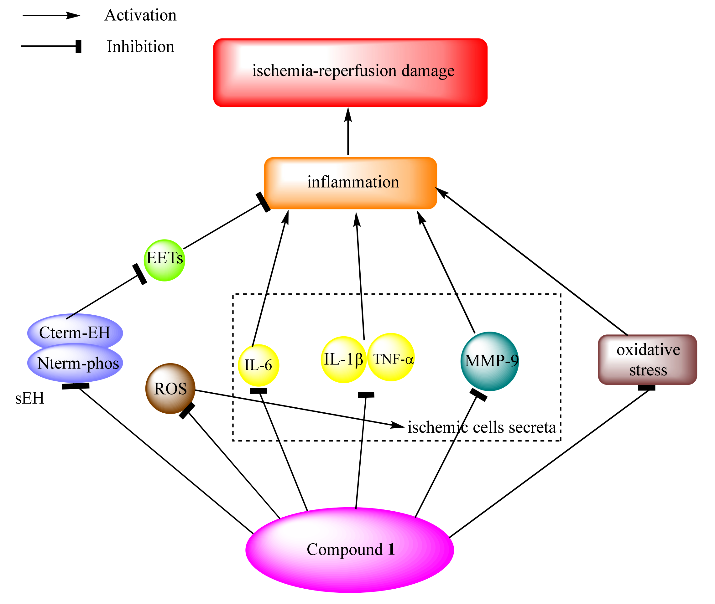 Marinedrugs 20 00405 g008