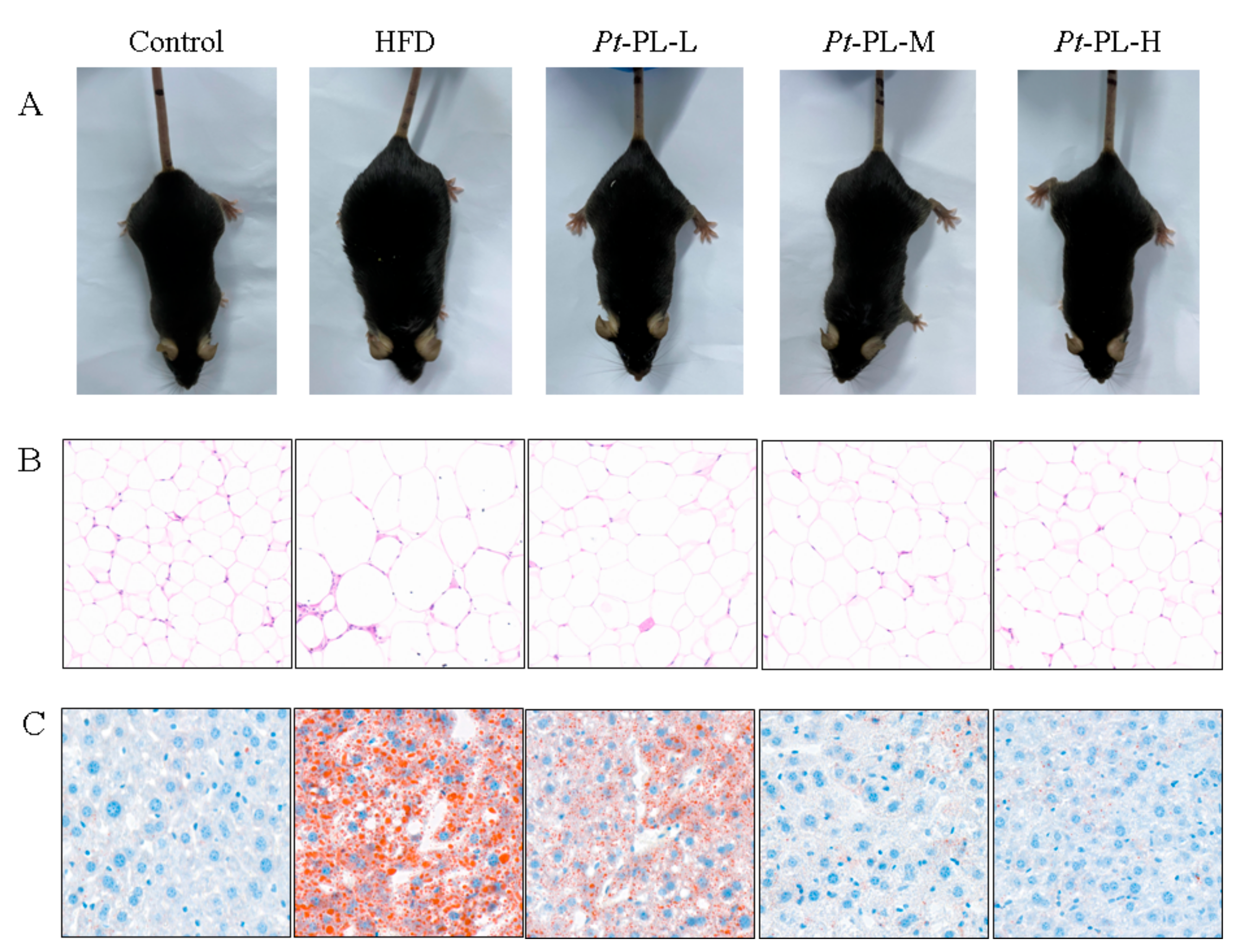 Marinedrugs 20 00411 g001 550