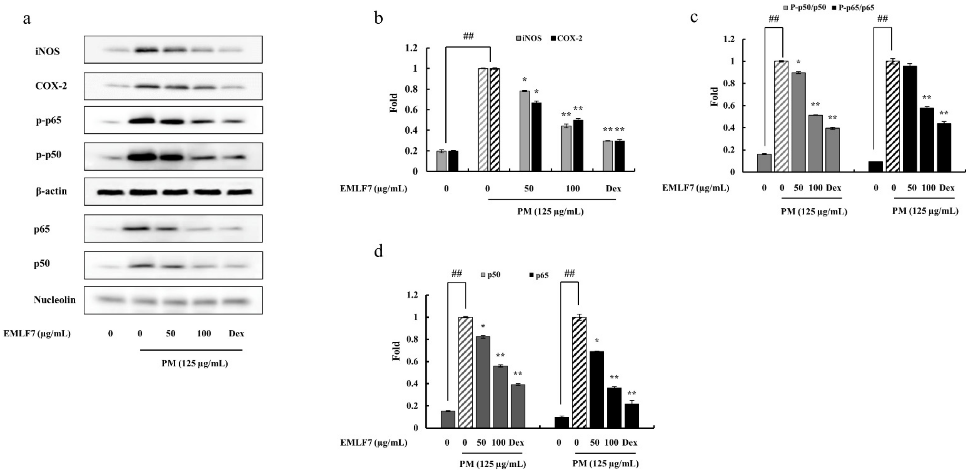 Marinedrugs 20 00413 g006 550