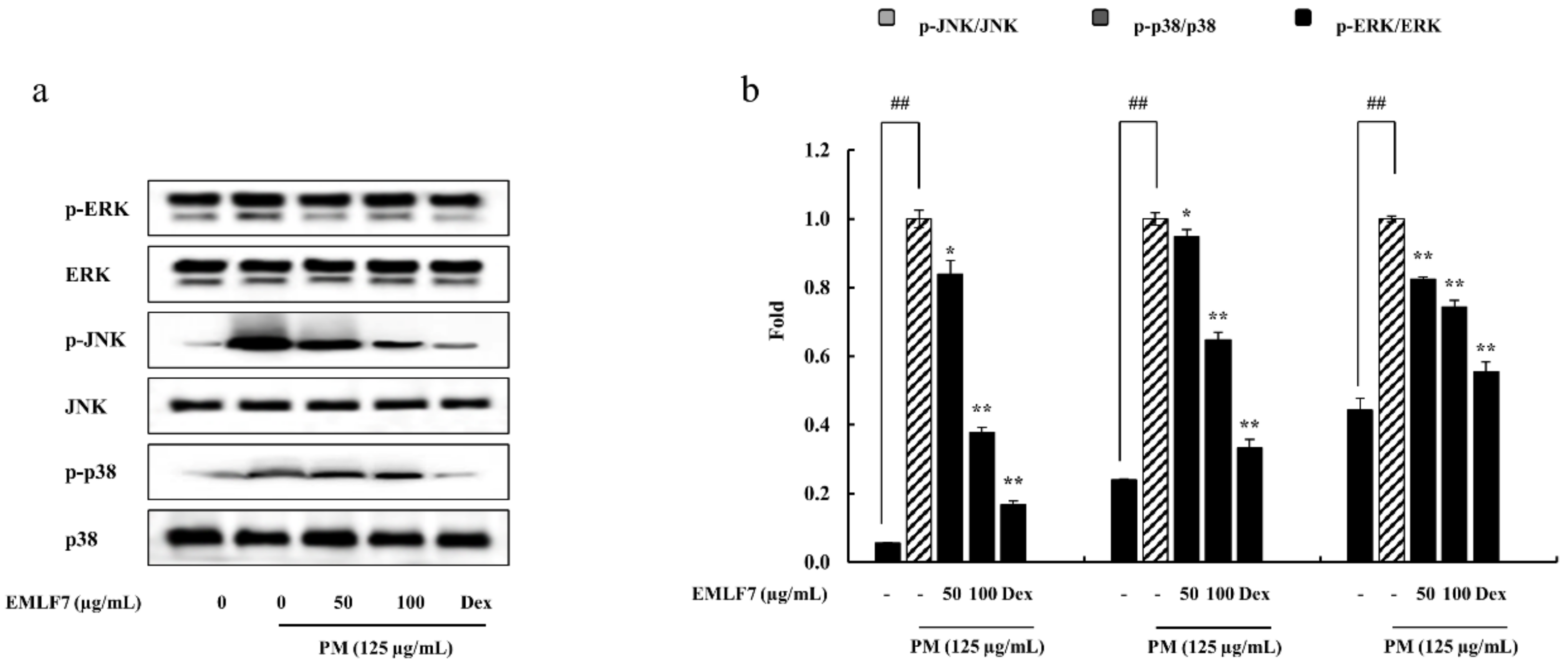 Marinedrugs 20 00413 g007 550
