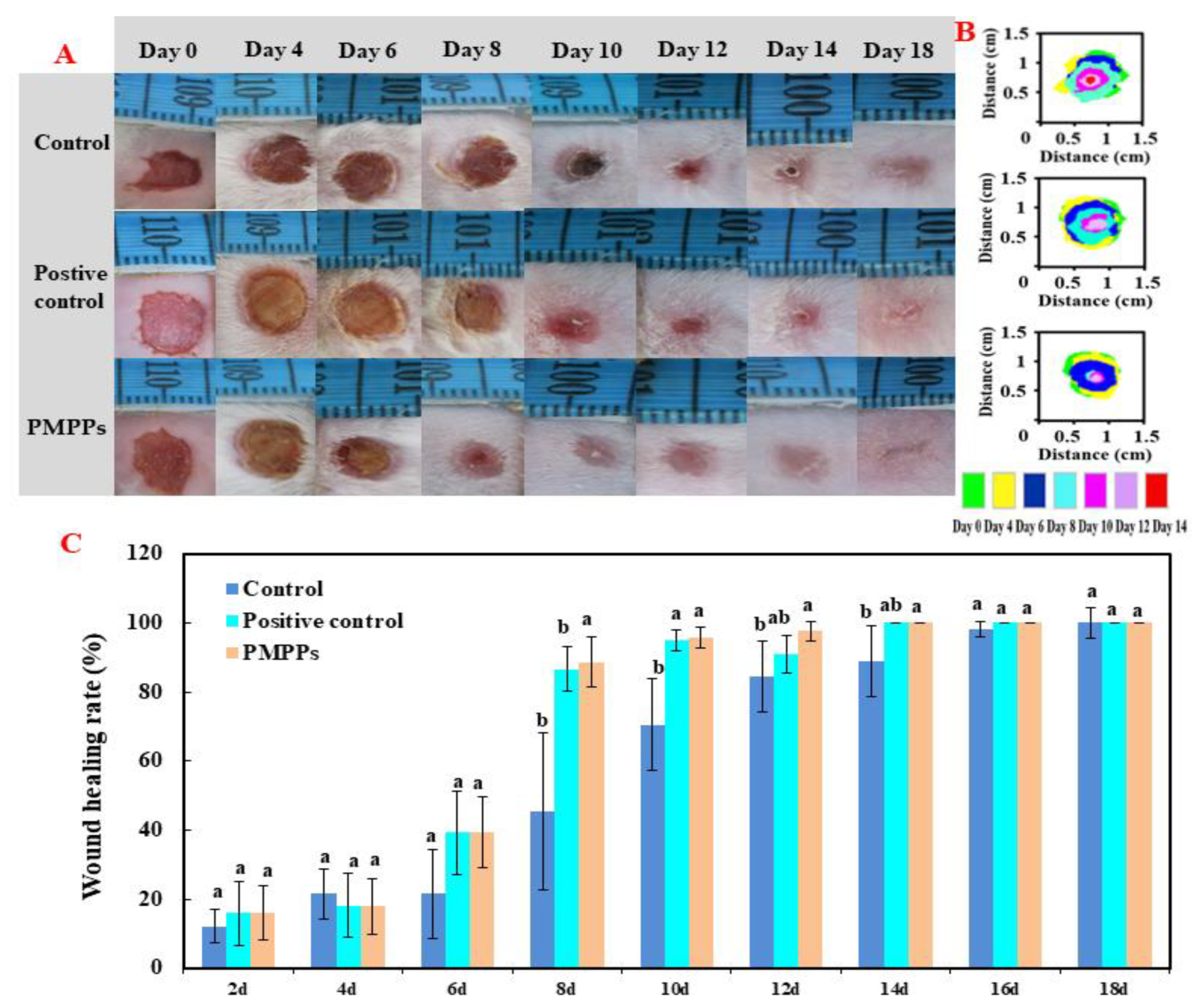 Marinedrugs 20 00417 g003 550