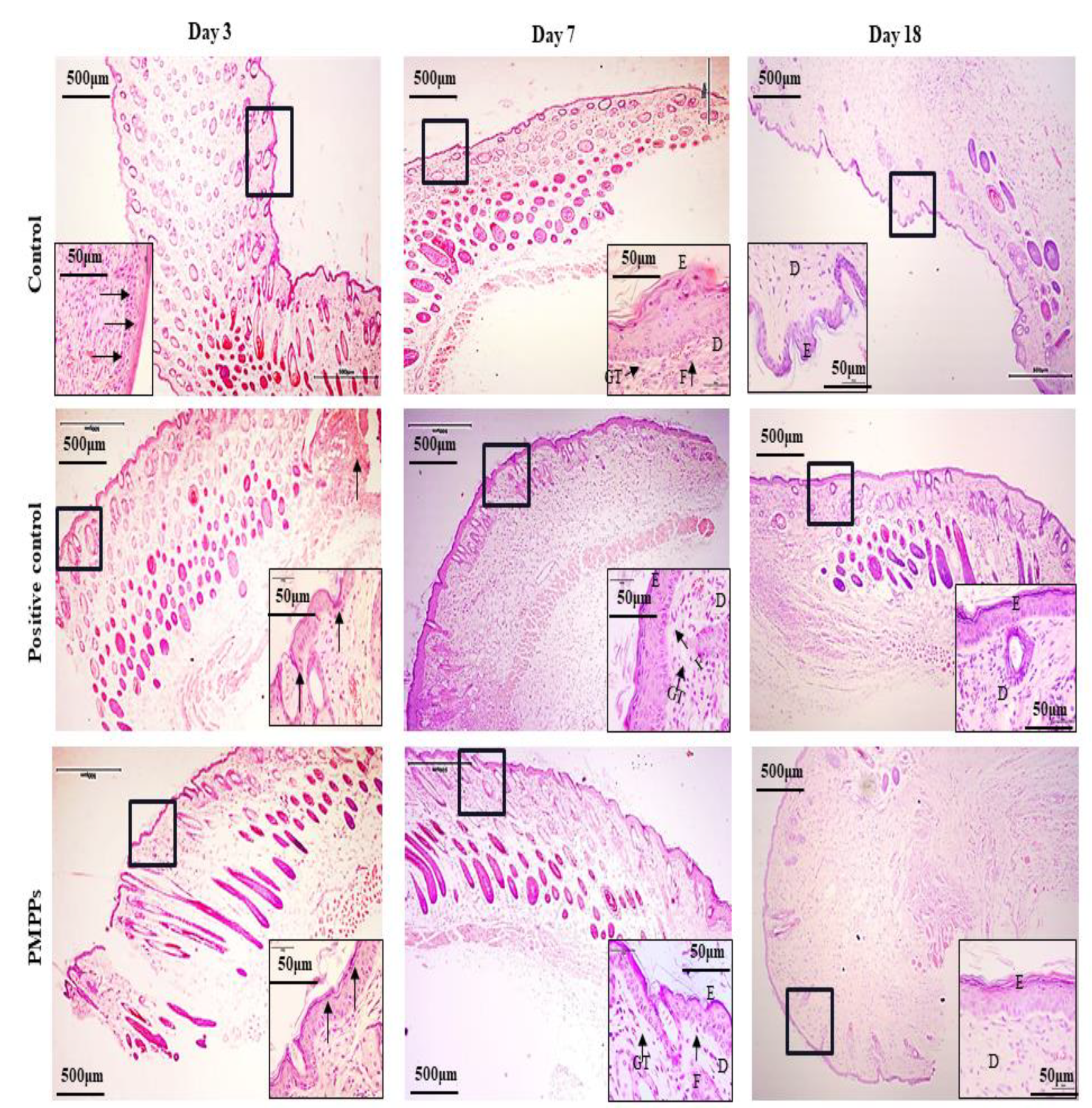Marinedrugs 20 00417 g005 550